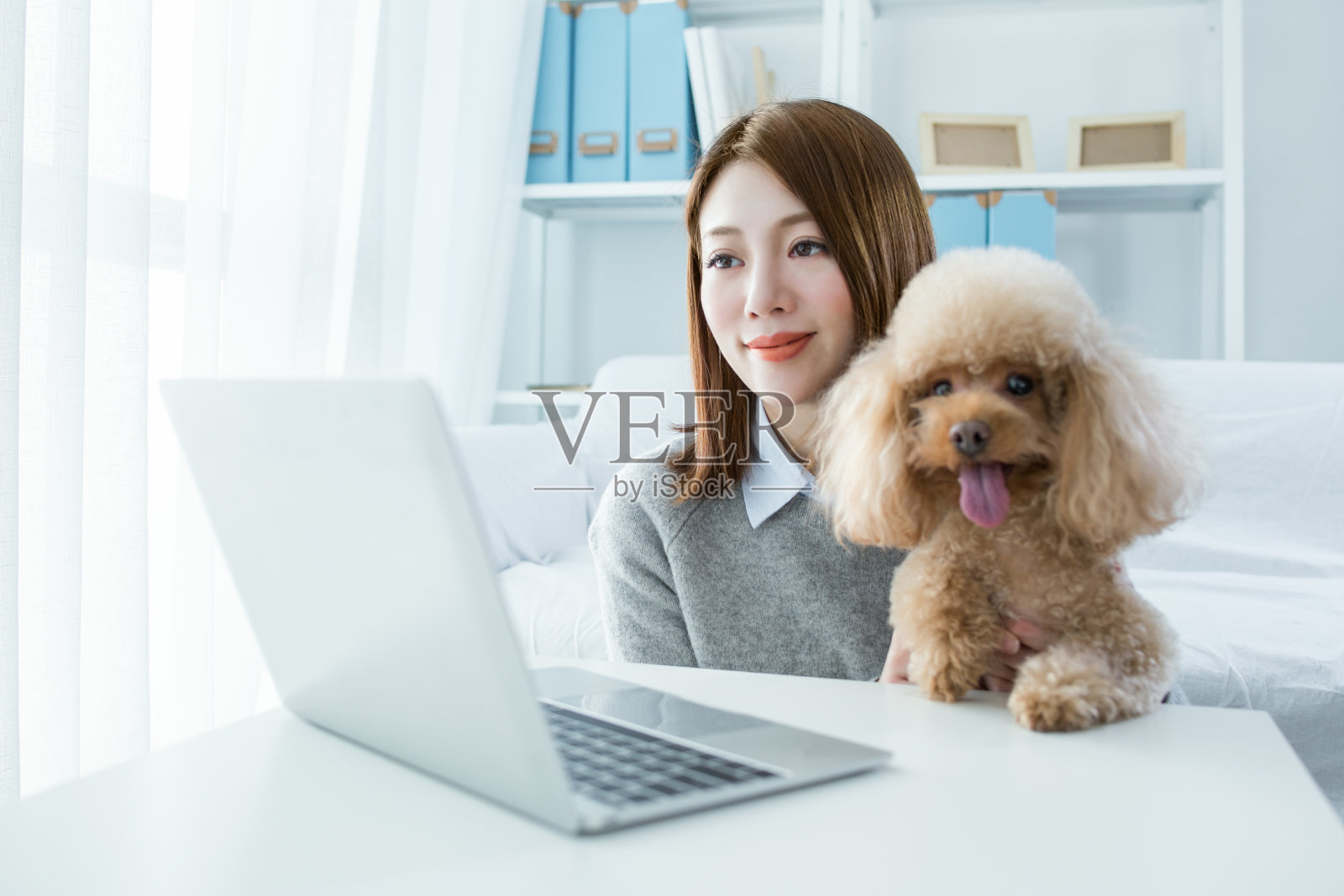 家里有只可爱的狗的女人照片摄影图片