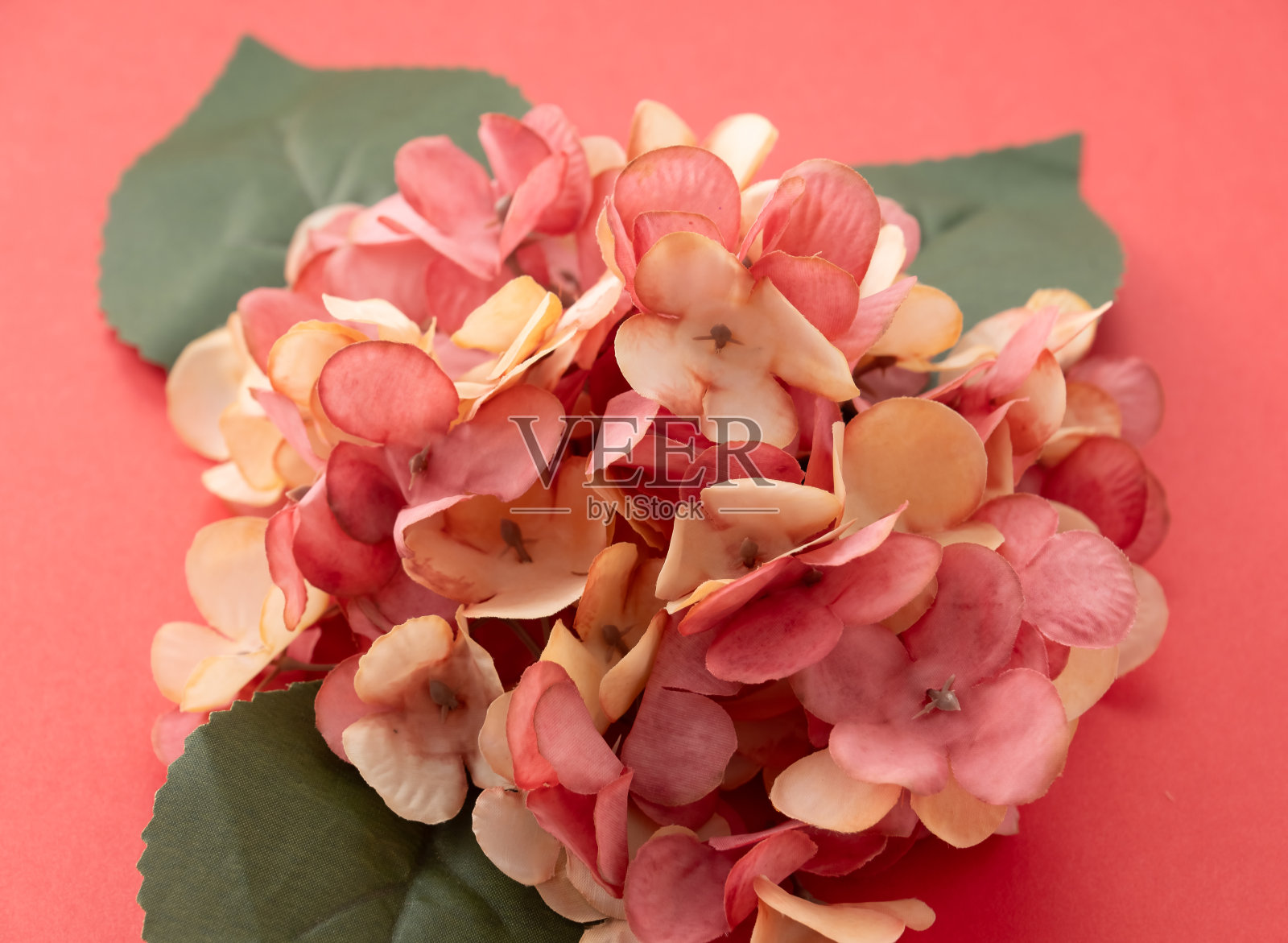 人造花束。照片摄影图片