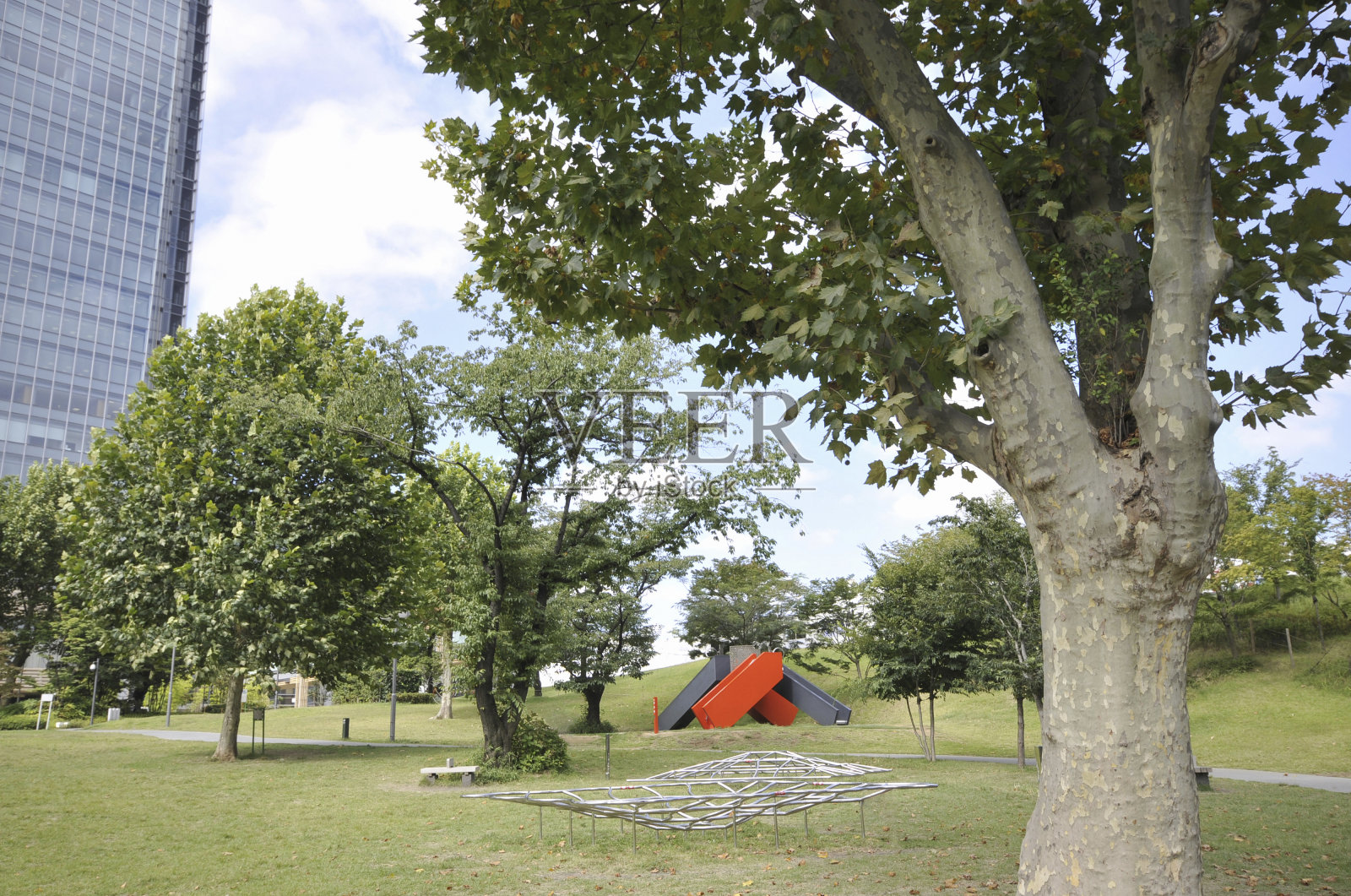 公园在大城市照片摄影图片