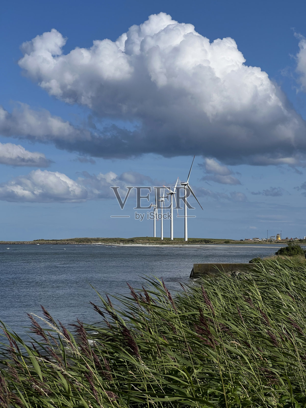 丹麦腓特烈港卡特加特海峡岸边的风车照片摄影图片