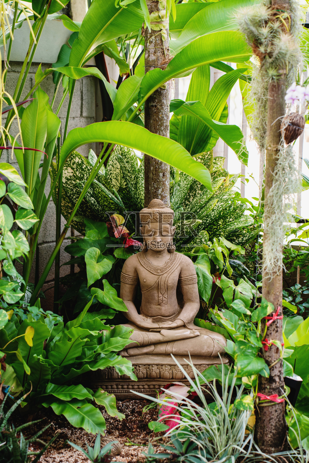 热带树叶花园中的坐佛像照片摄影图片