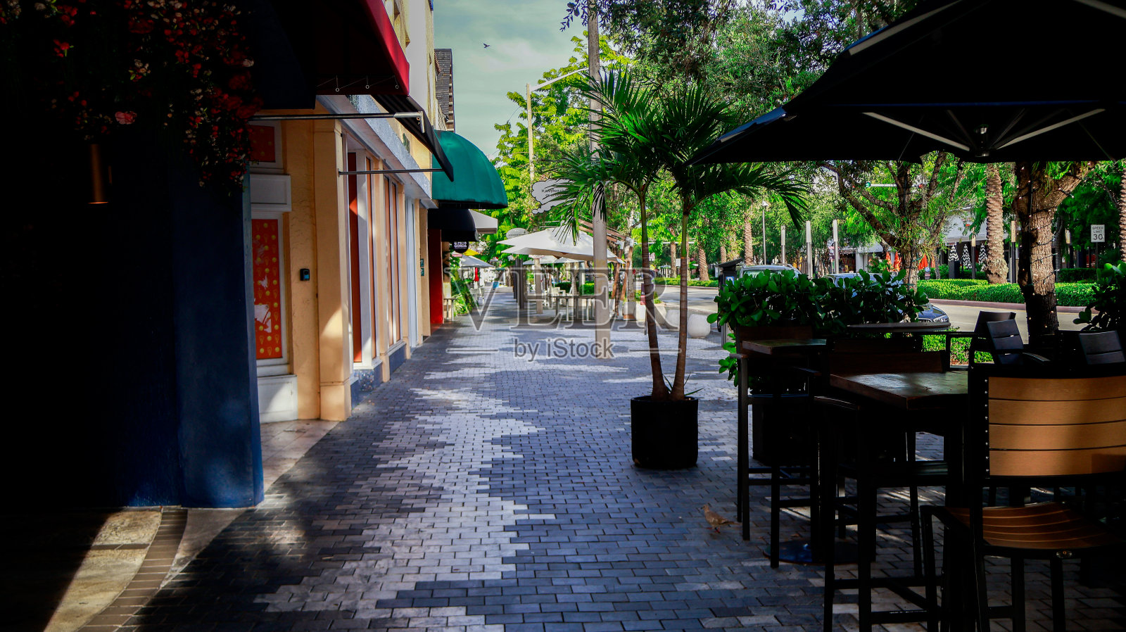 摄影:Miami Street照片摄影图片