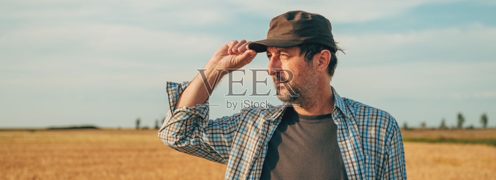 一位男农民站在成熟的麦田里，望着地平线和晴朗的天空中已经收割的庄稼照片摄影图片