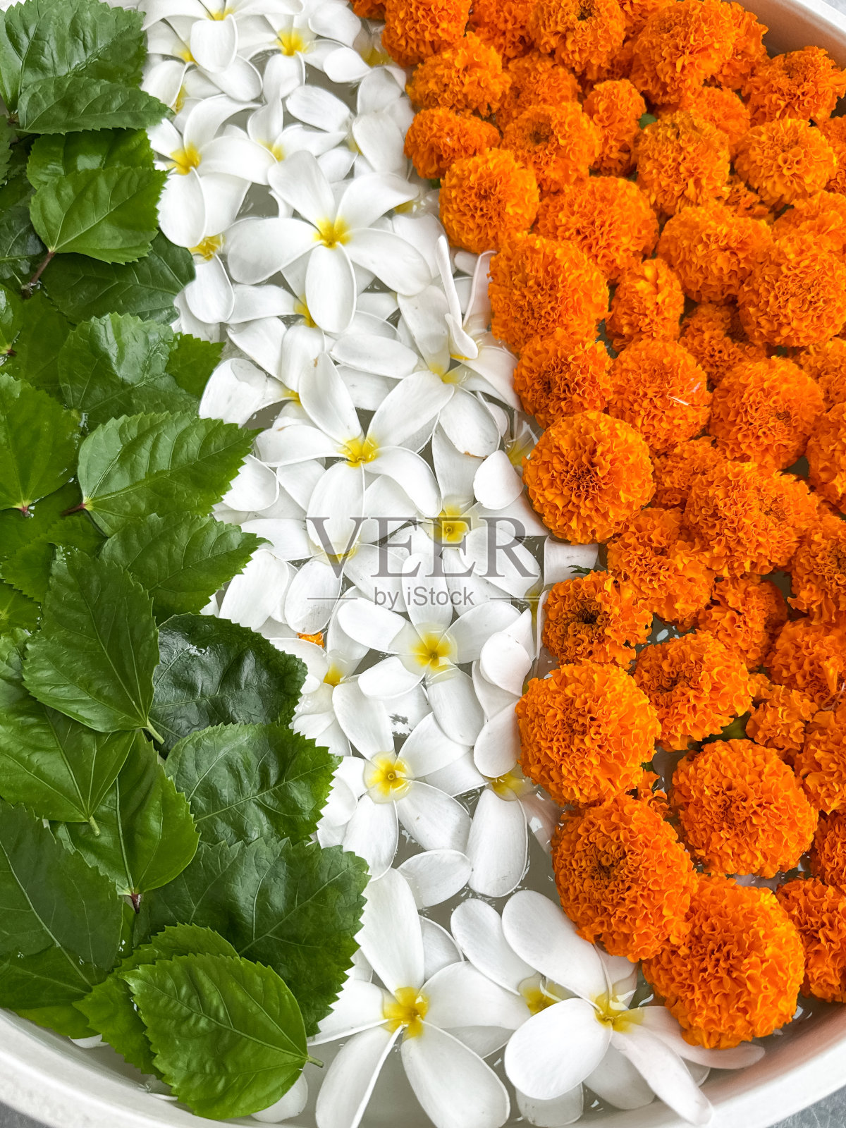 全画幅的印度乌拉里碗装满了绿色的木槿叶子，白色和橙色的花头-凤仙花(Plumeria alba)和万寿菊(万寿菊)漂浮在盘子里的水，印度国旗插花展示，高架视图照片摄影图片