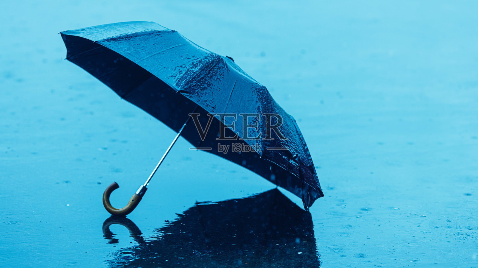 伞照片摄影图片