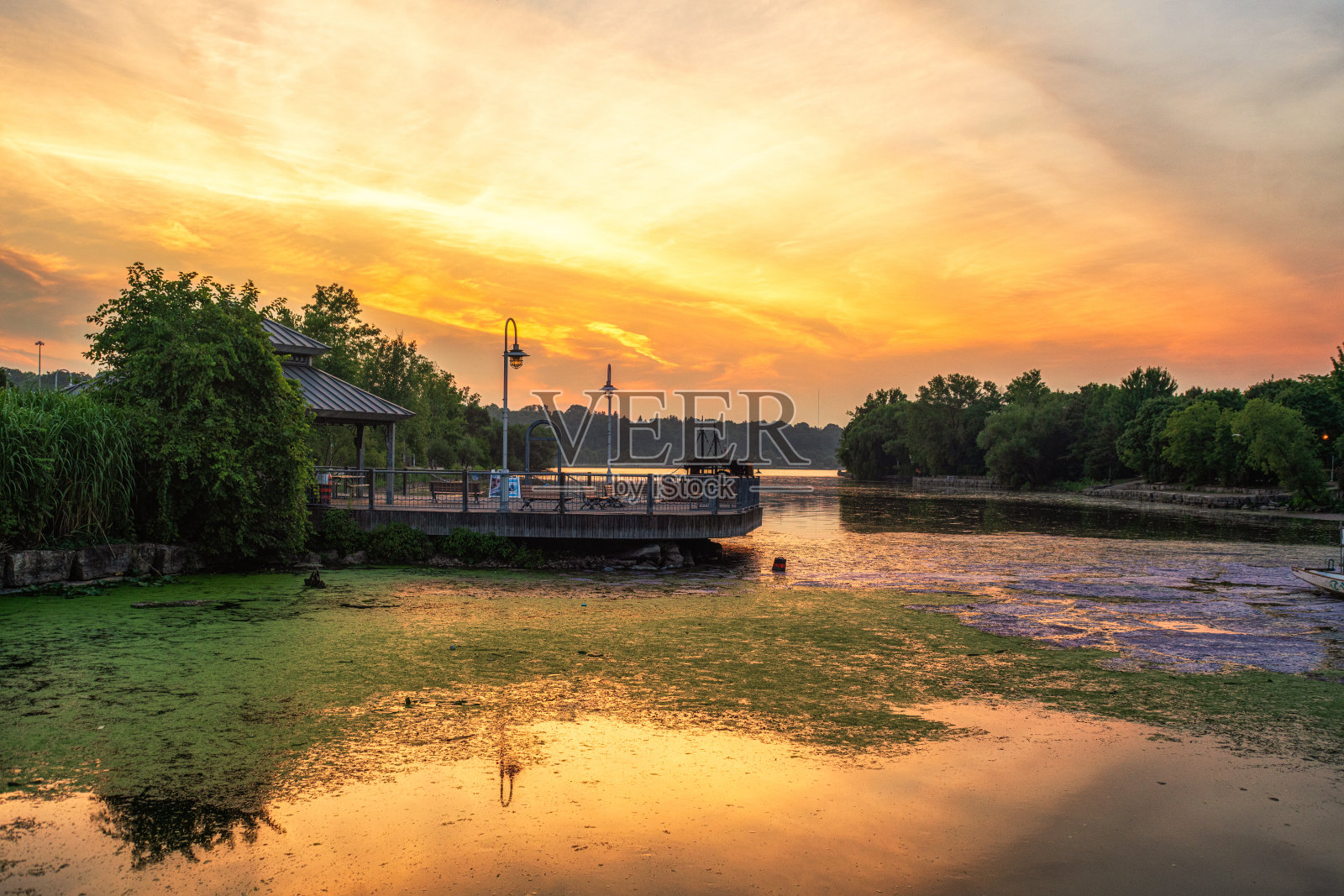 汉密尔顿，安大略省-日落时海湾公园的蓝绿藻照片摄影图片