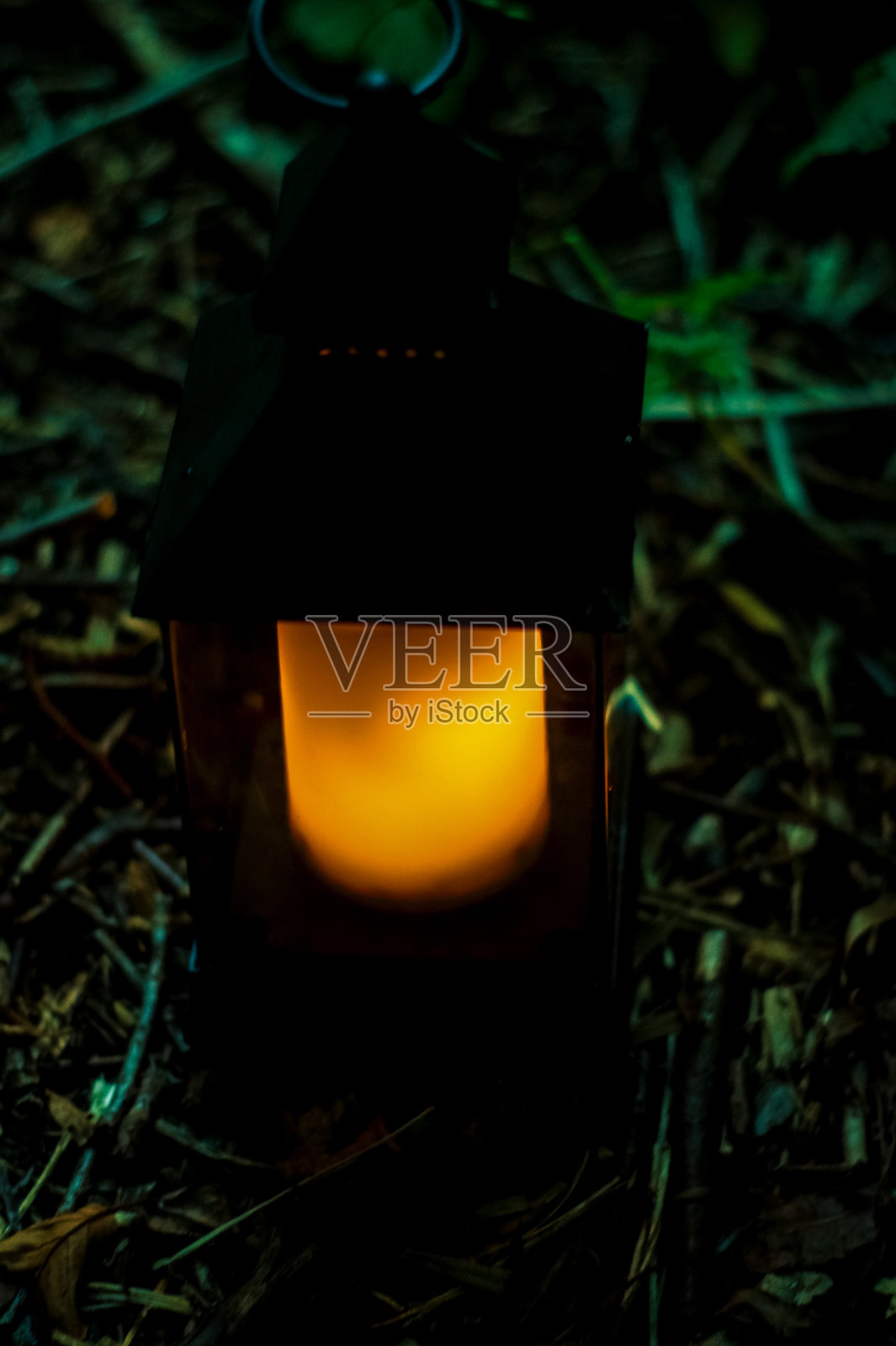 光照片摄影图片