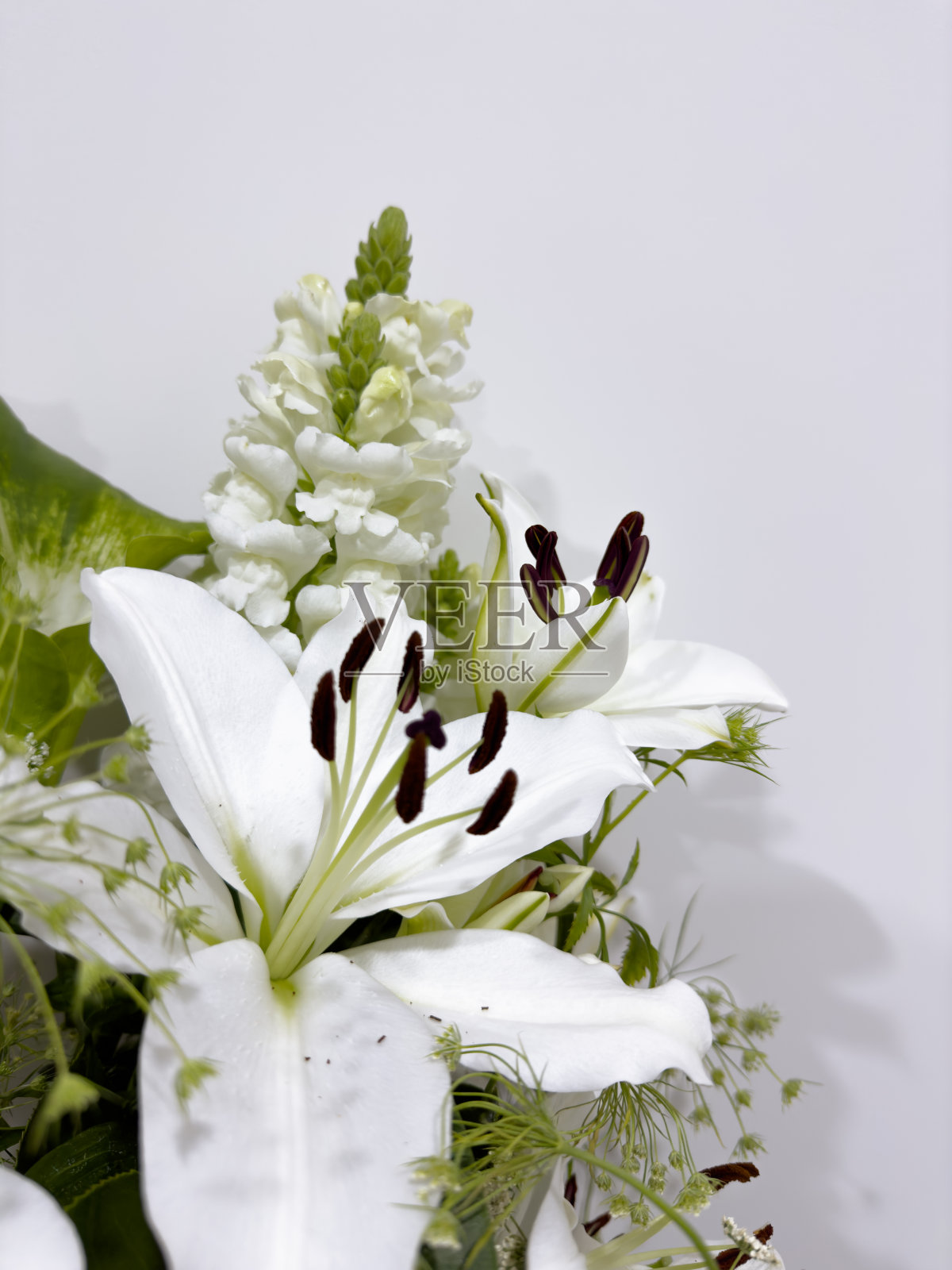 优雅的白色百合在盛开。花束照片摄影图片