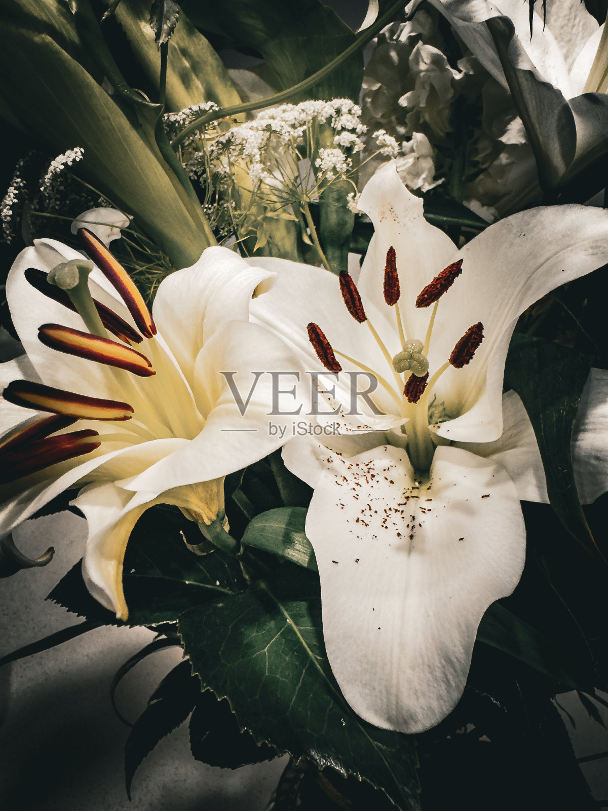 优雅的白色百合在盛开。花束照片摄影图片