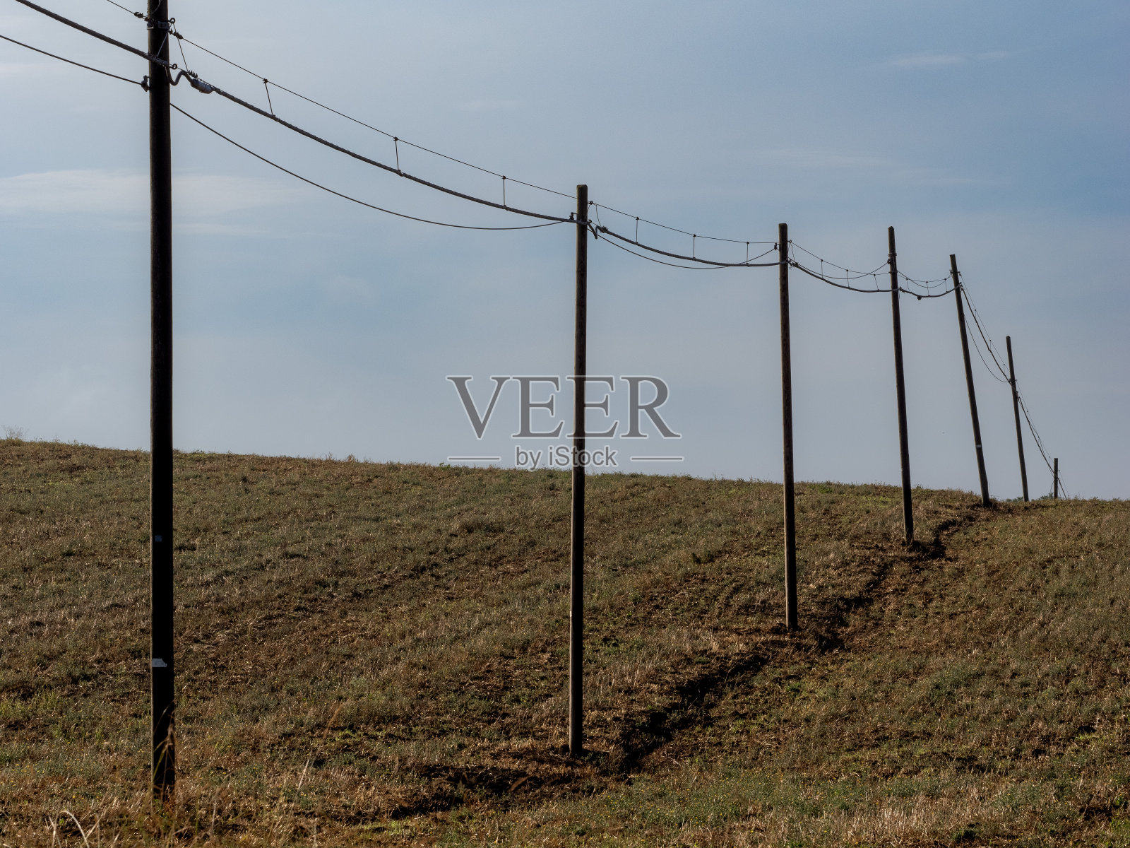 带木杆的电力线路照片摄影图片