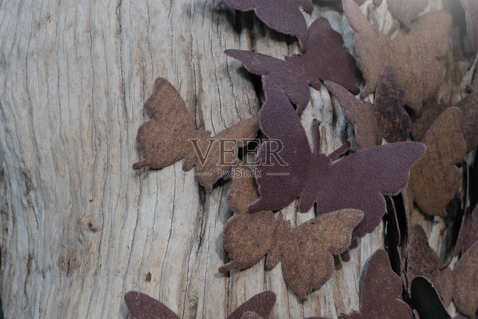 用废弃的天然材料制作的蝴蝶作为自然背景。照片摄影图片