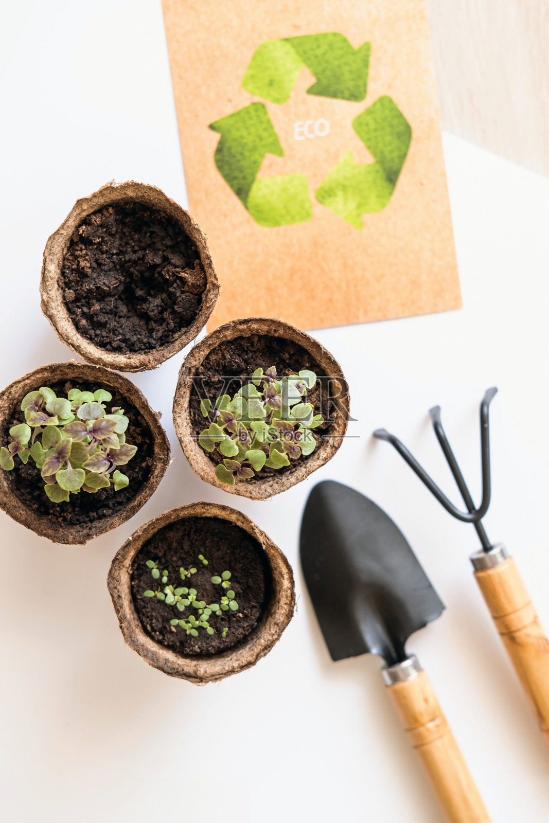 花园概念:白色背景上的种子、花盆和小工具，比如铲子和耙子。环保，生态理念照片摄影图片