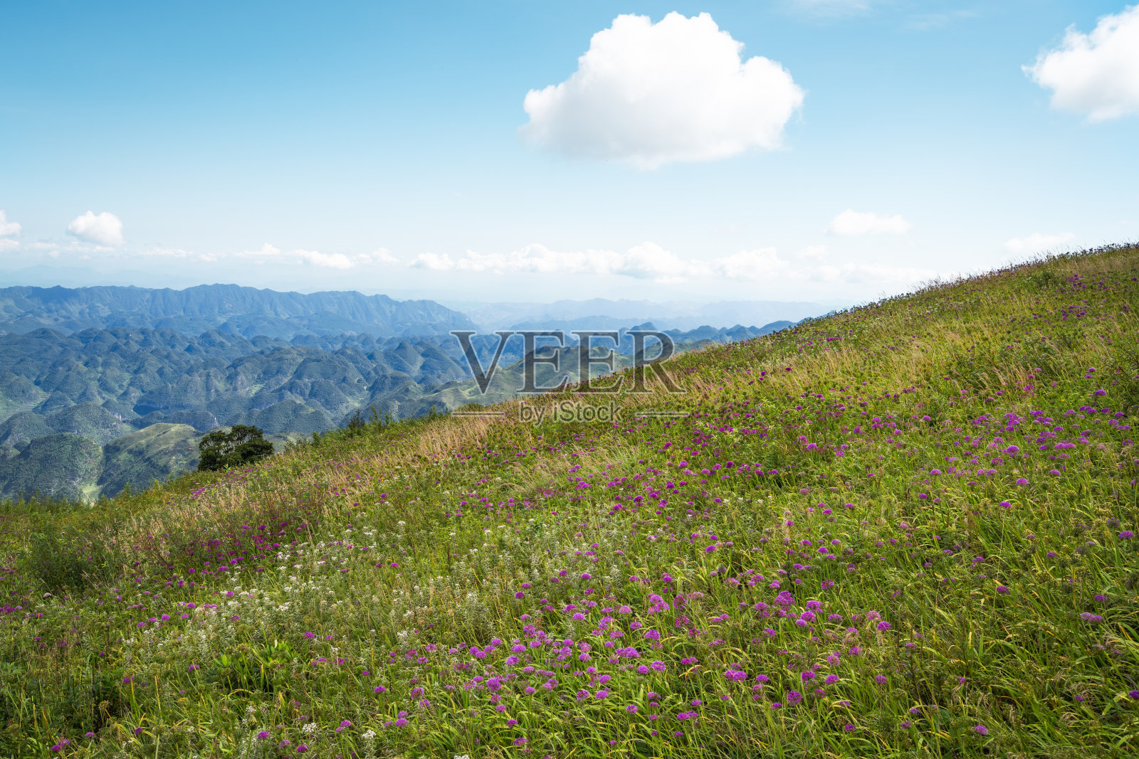 中国贵州省毕节市合漳县九彩坪风景照片摄影图片