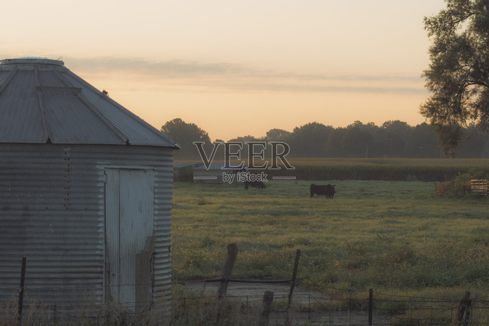 粮库照片摄影图片