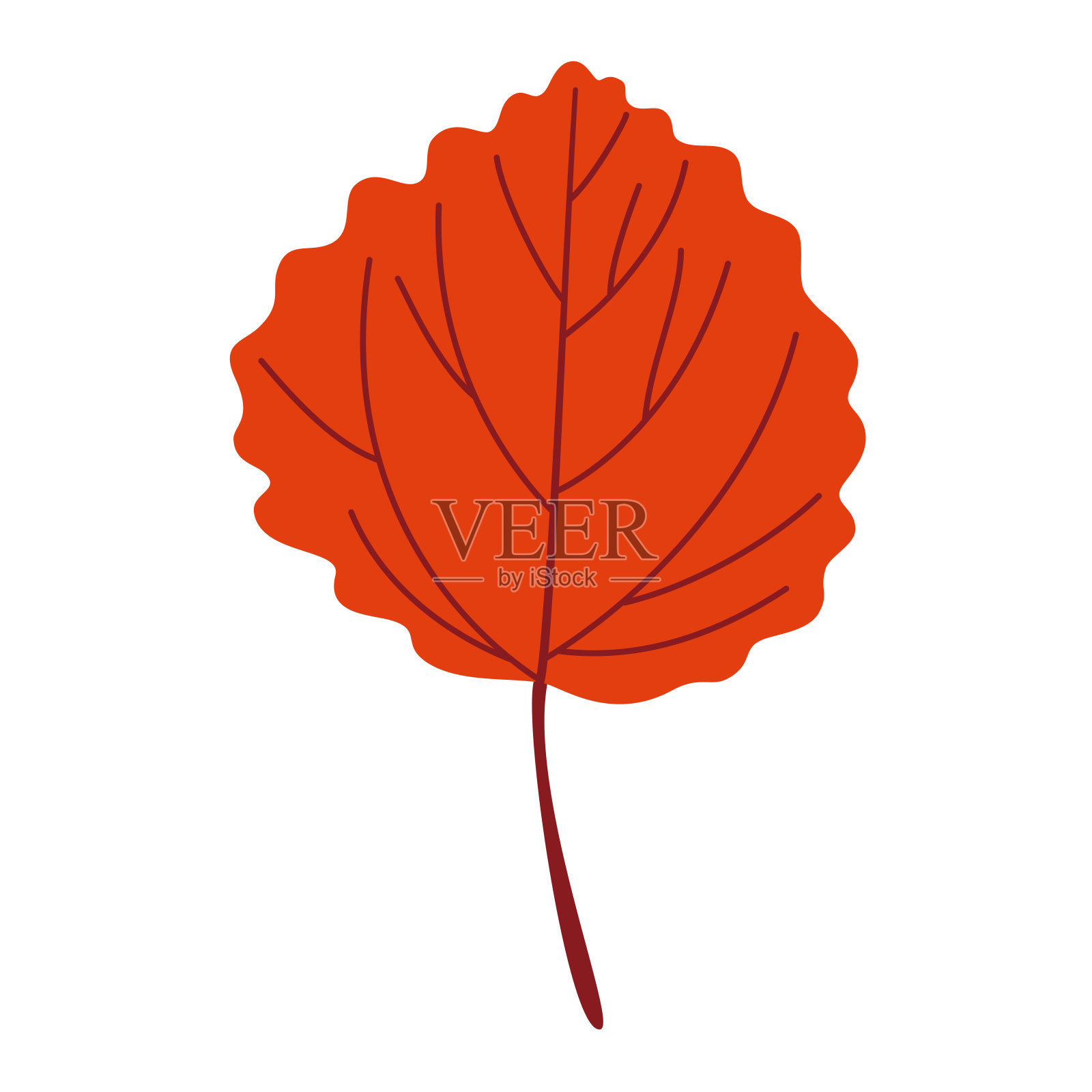 白杨叶扁平花柱孤立秋叶插画图片素材