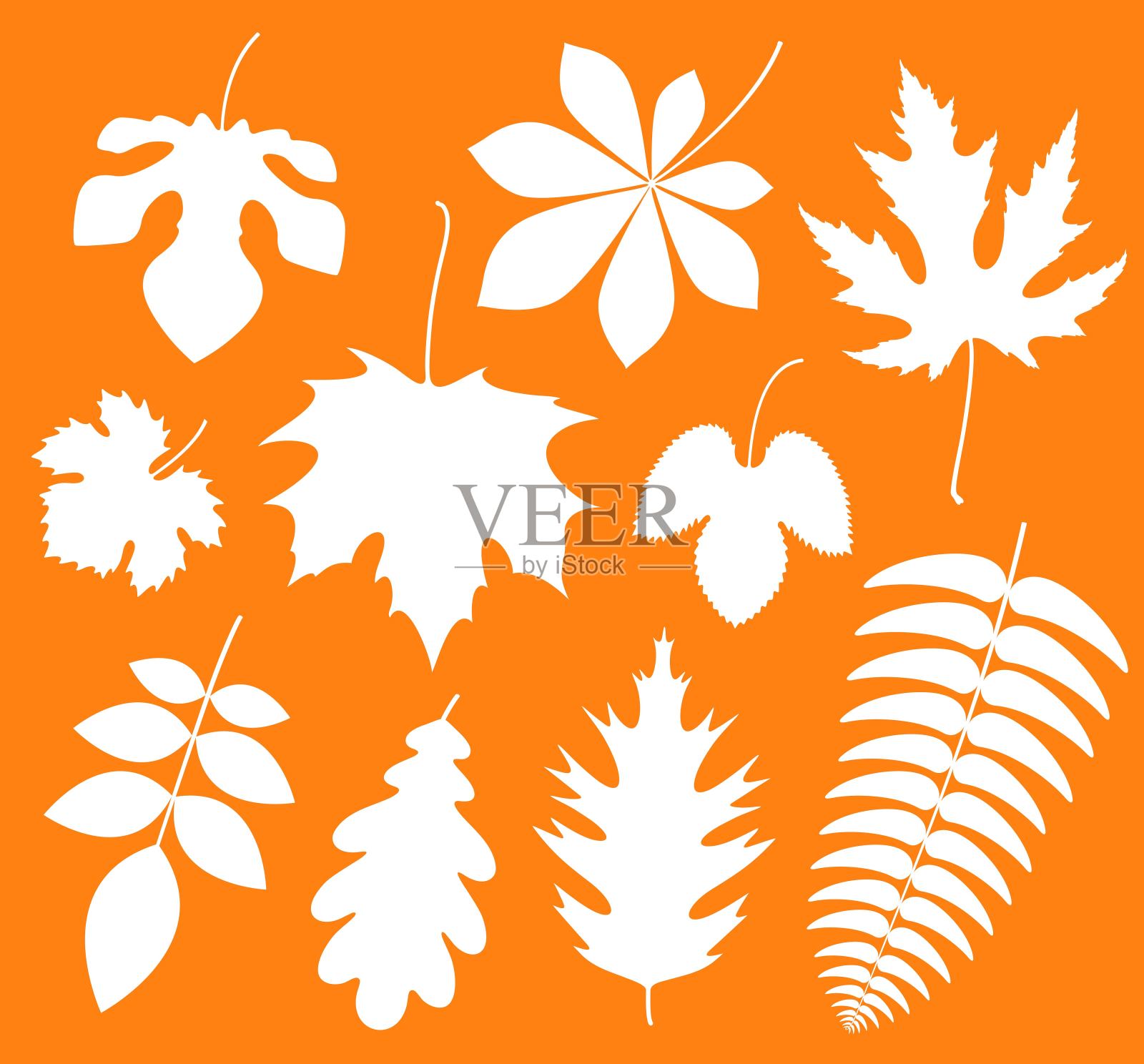 叶片轮廓。白色背景上的孤立叶插画图片素材