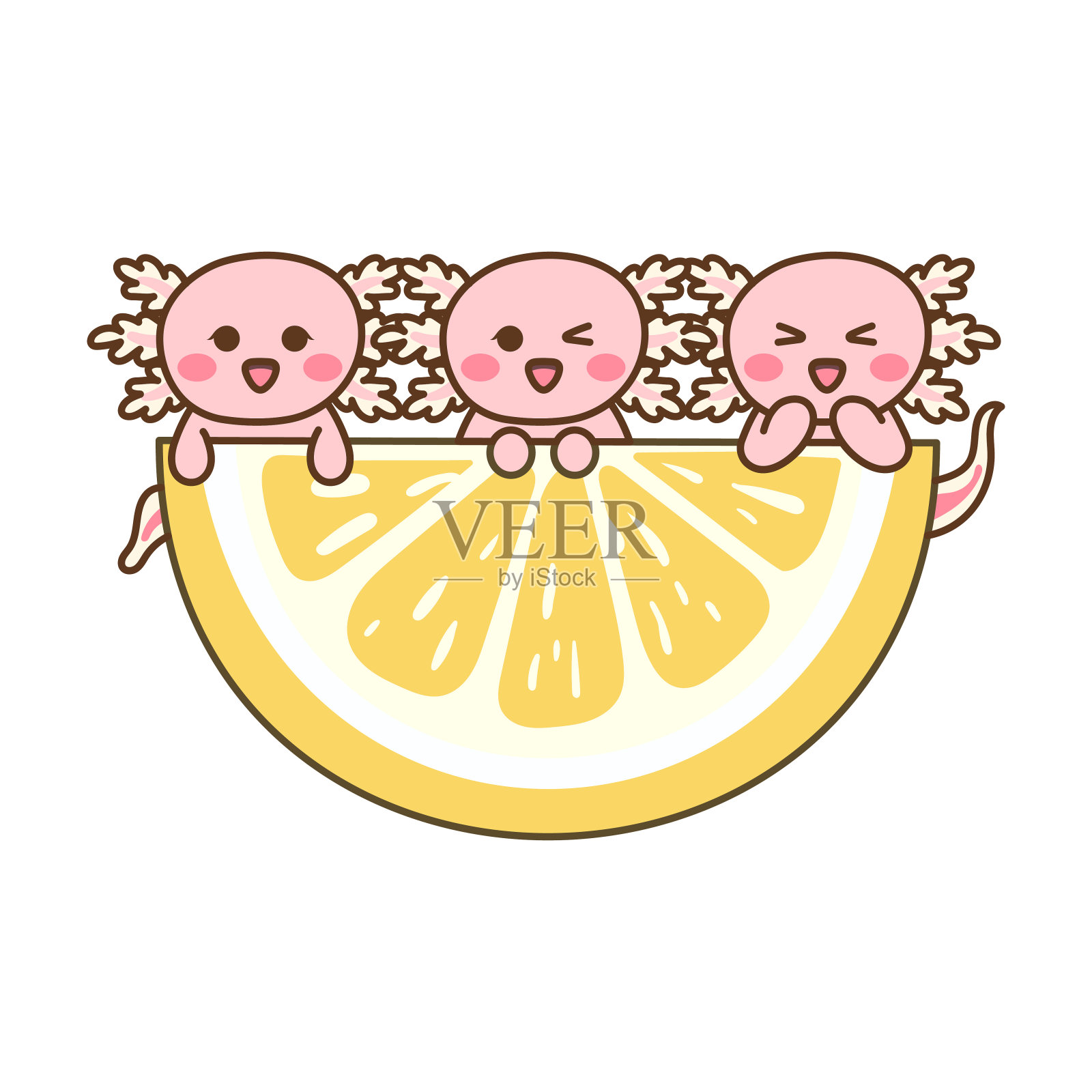 三只粉红色的蝾螈挂在柠檬片上插画图片素材