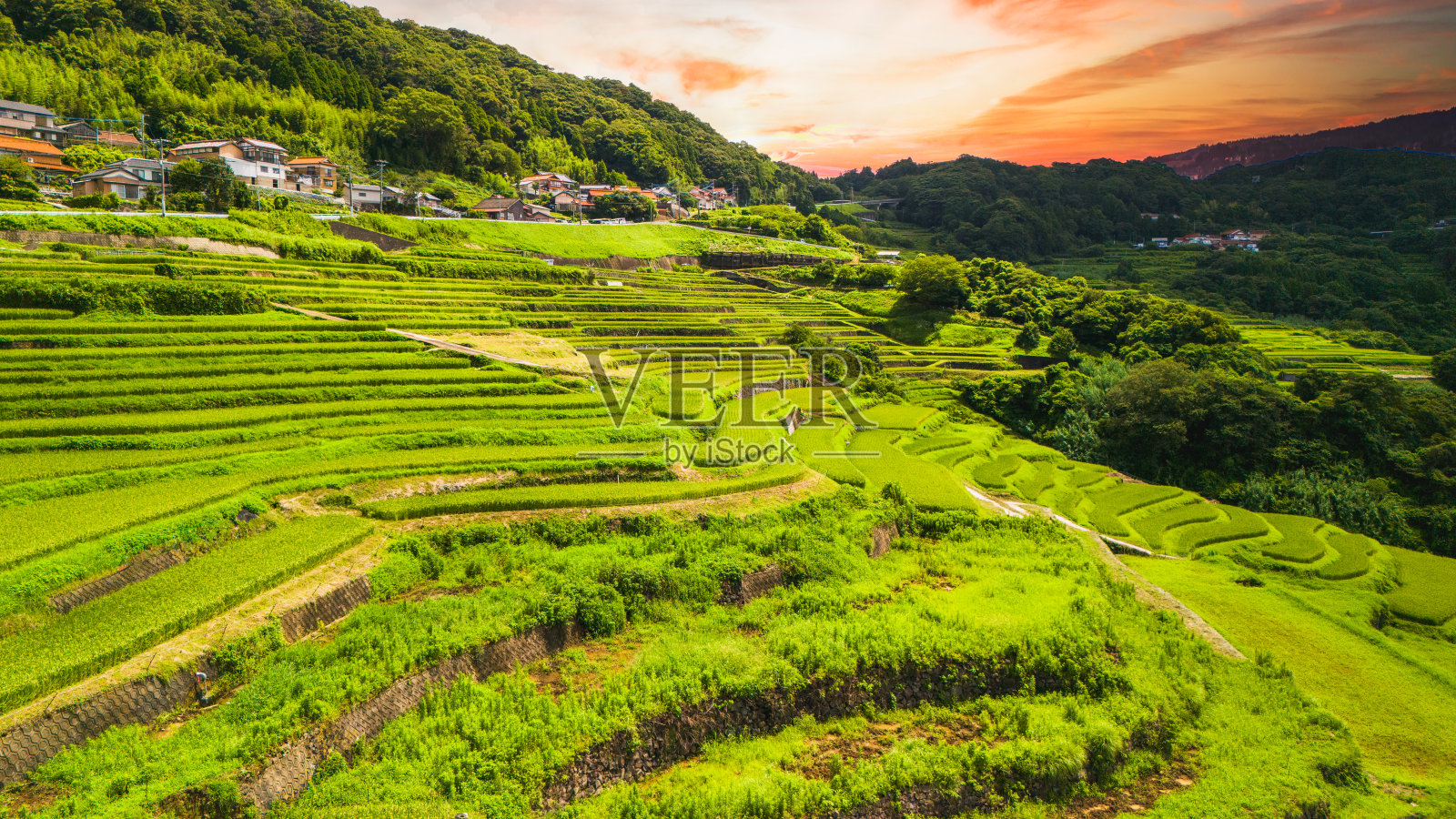 日本“梯田”风光照片摄影图片