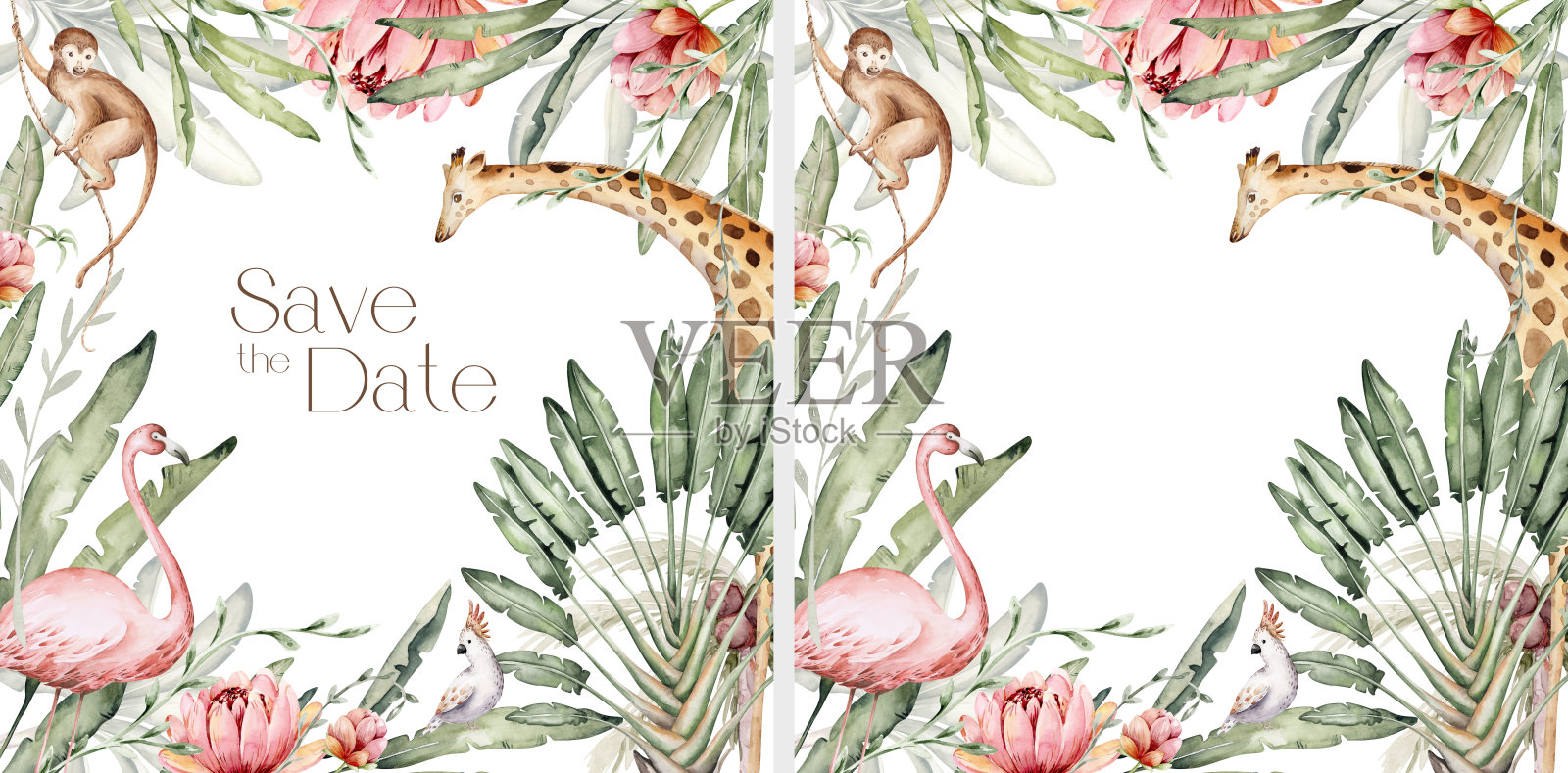 水彩框架背景的非洲植物和动物与大象，猴子和凤头鹦鹉，边界与鹦鹉和长颈鹿。热带的叶子插画图片素材