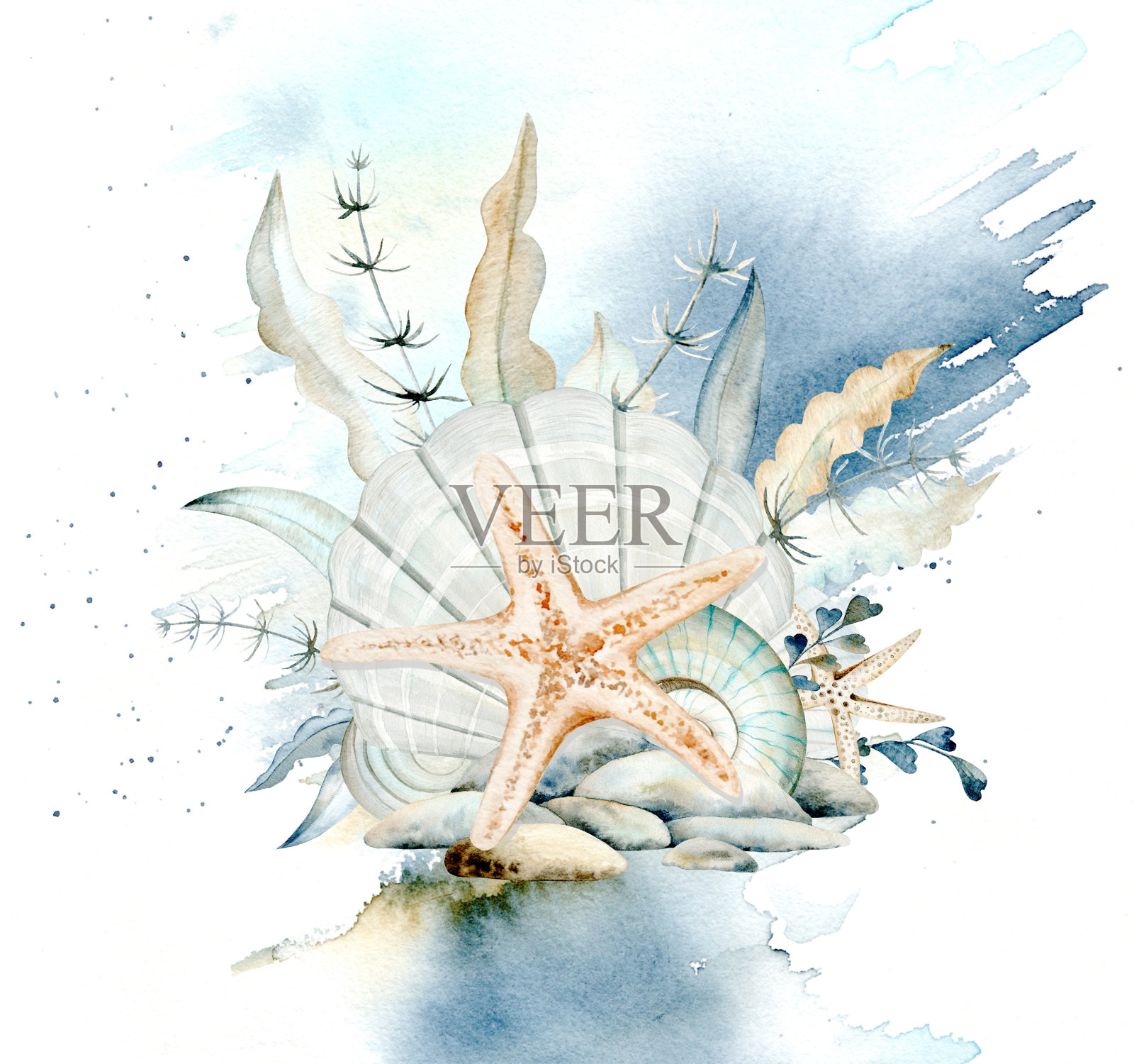 在水彩背景上的海贝壳、鹅卵石和海藻组成。手绘海洋蛤和鹅卵石的海洋和海边设计单色柔和的颜色。插画图片素材