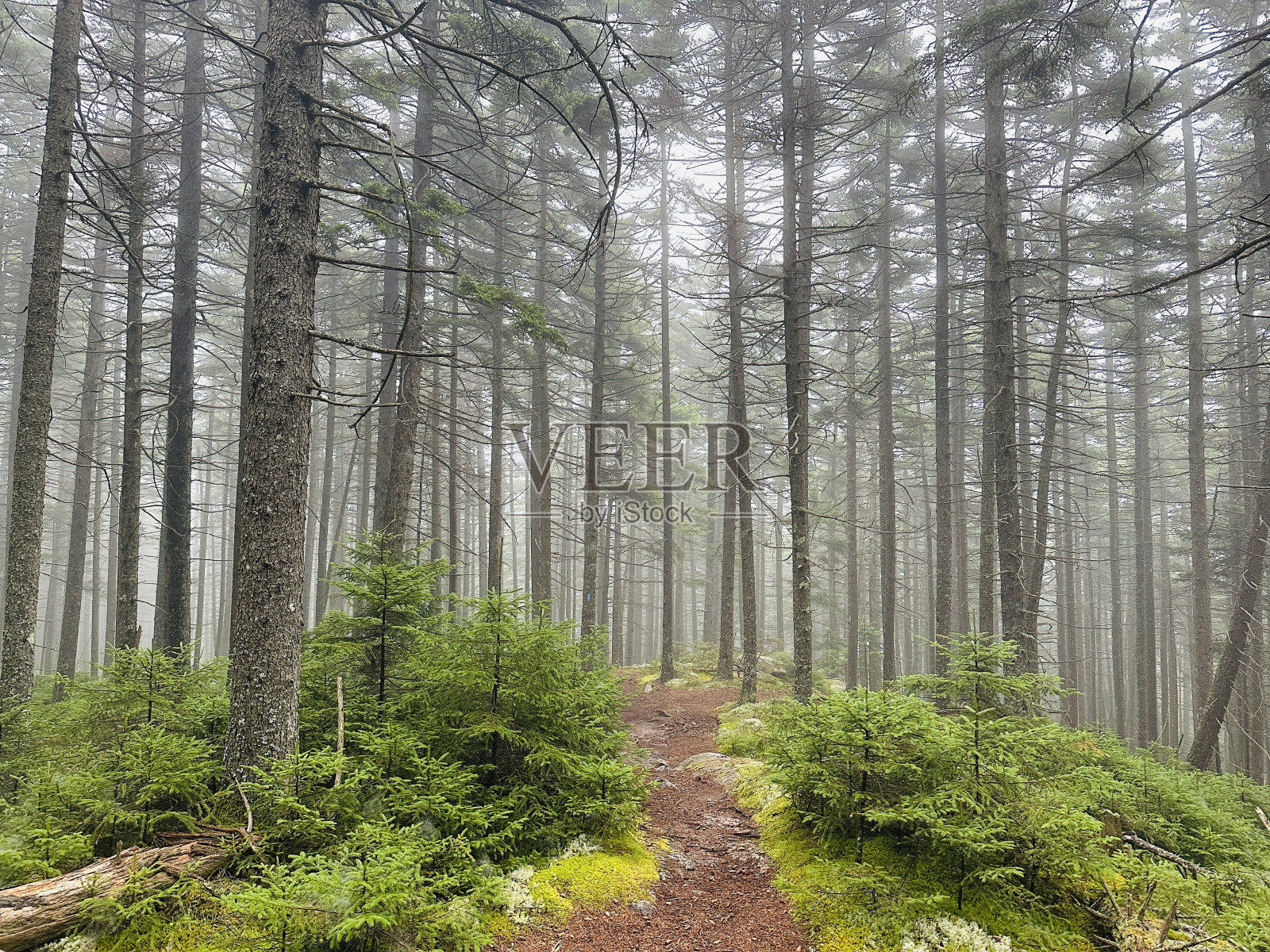 莱文沃斯、华盛顿照片摄影图片