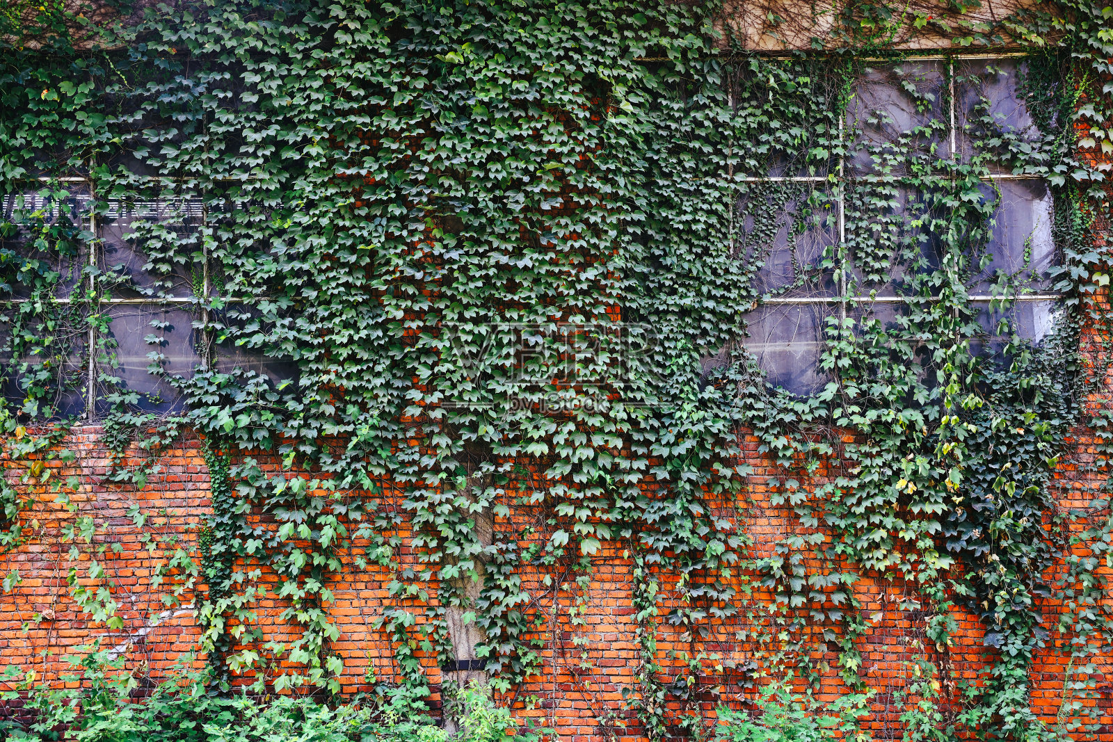 全门式起重机的局部特写照片摄影图片