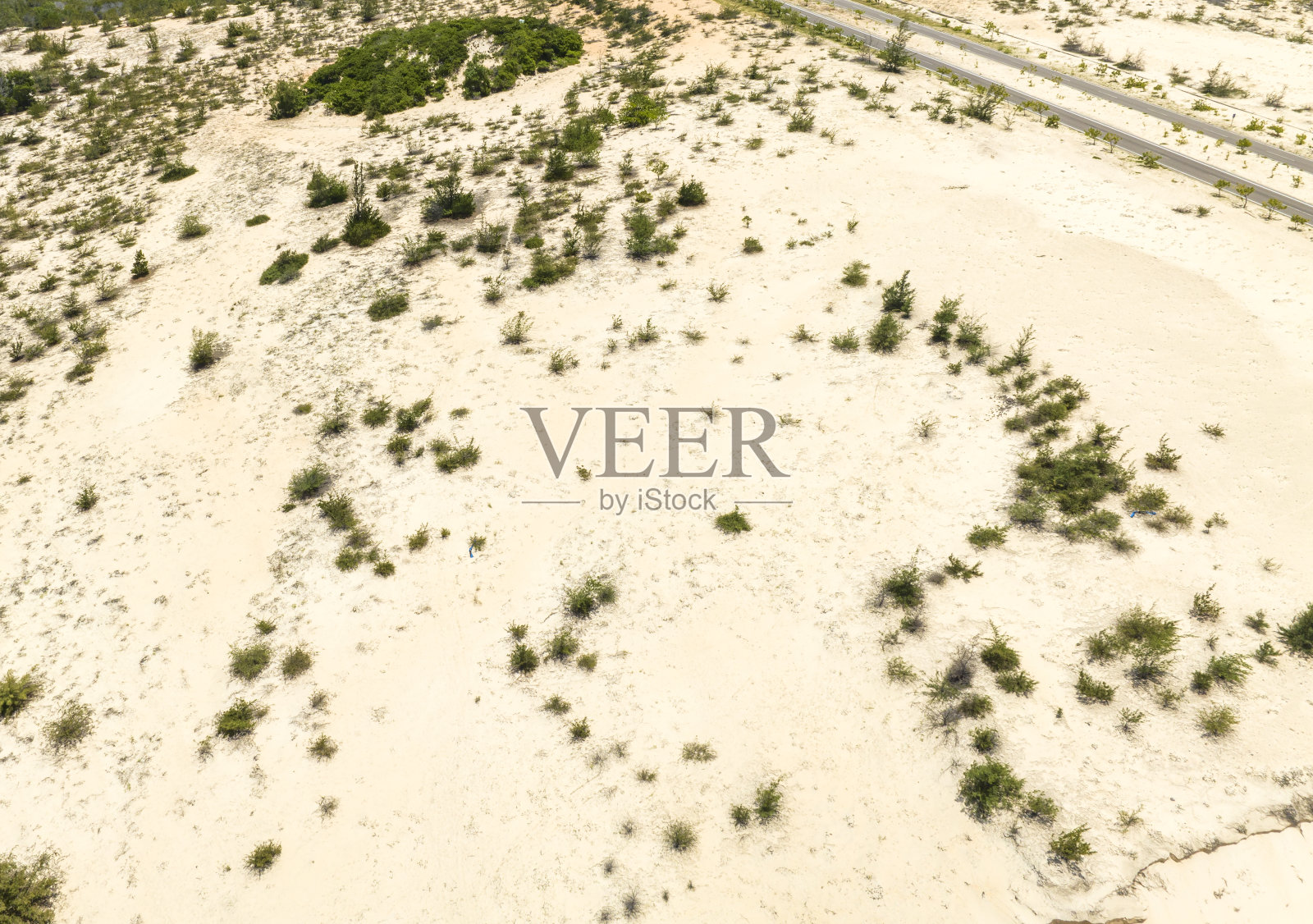 白色沙丘的抽象照片与野生植物生长在海滩上照片摄影图片