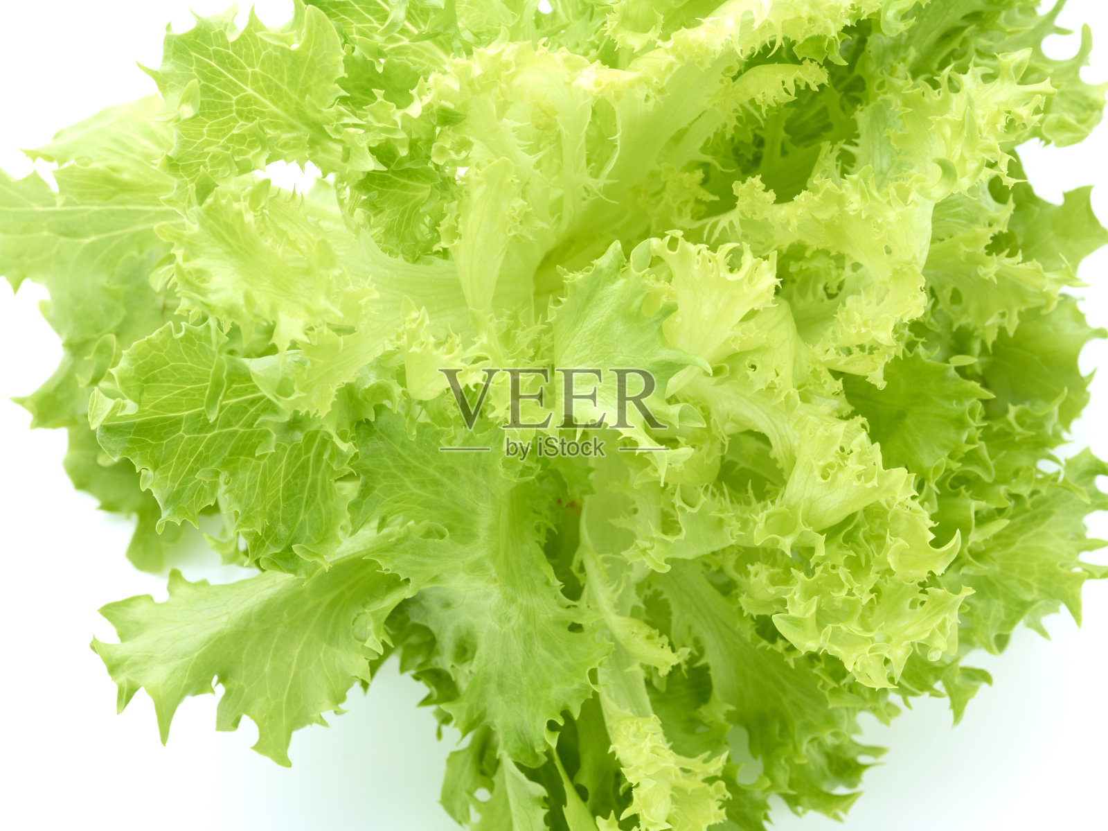 沙拉的绿叶孤立在白色的背景上照片摄影图片