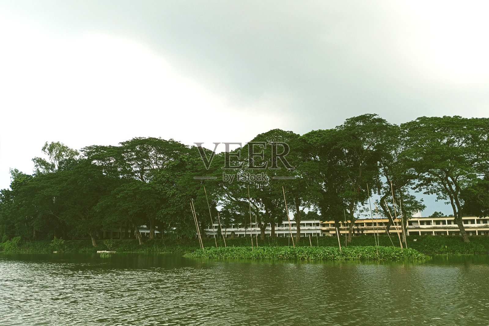 河流与大学照片摄影图片