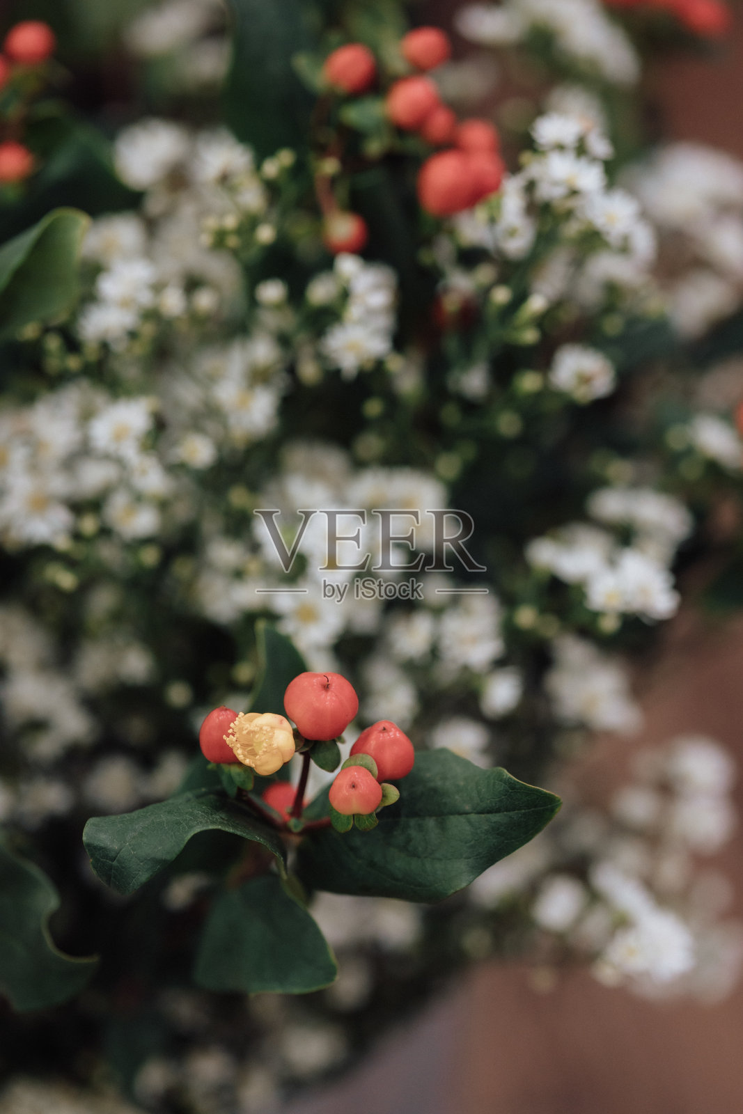 圣诞节照片摄影图片