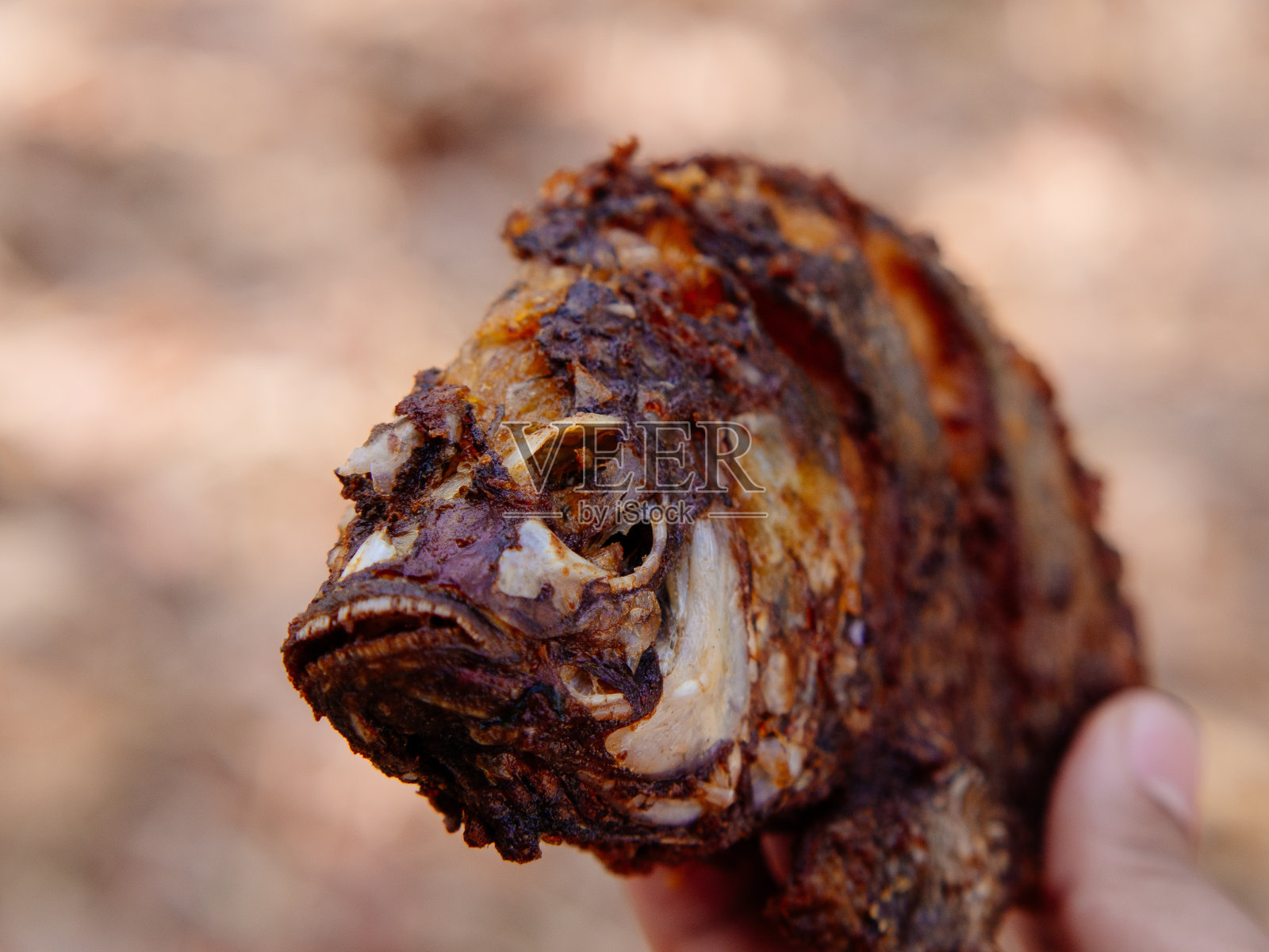 泰国炸鱼照片摄影图片