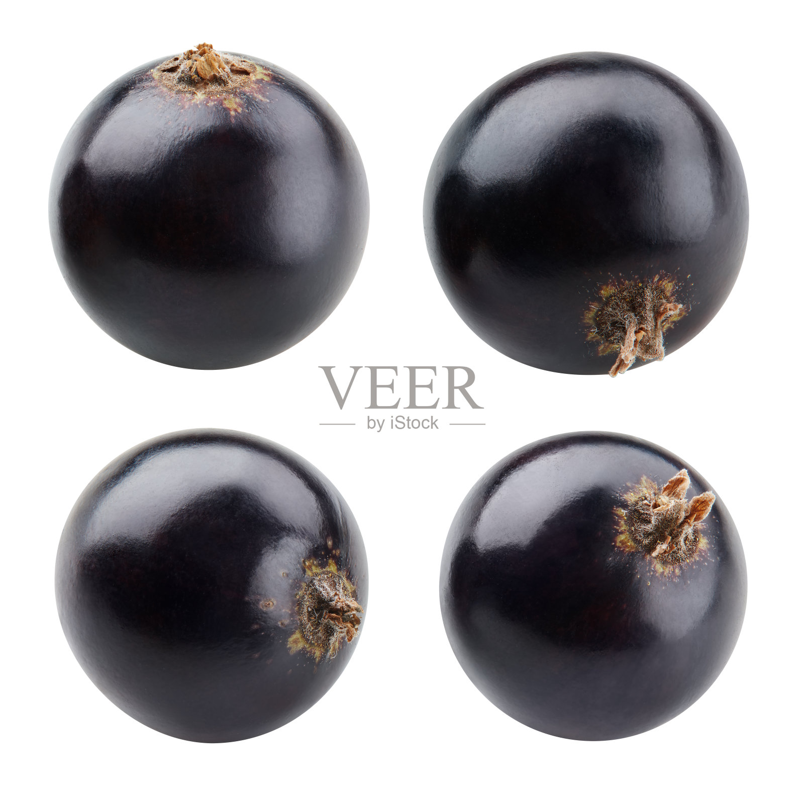 白色背景上孤立的醋栗浆果照片摄影图片