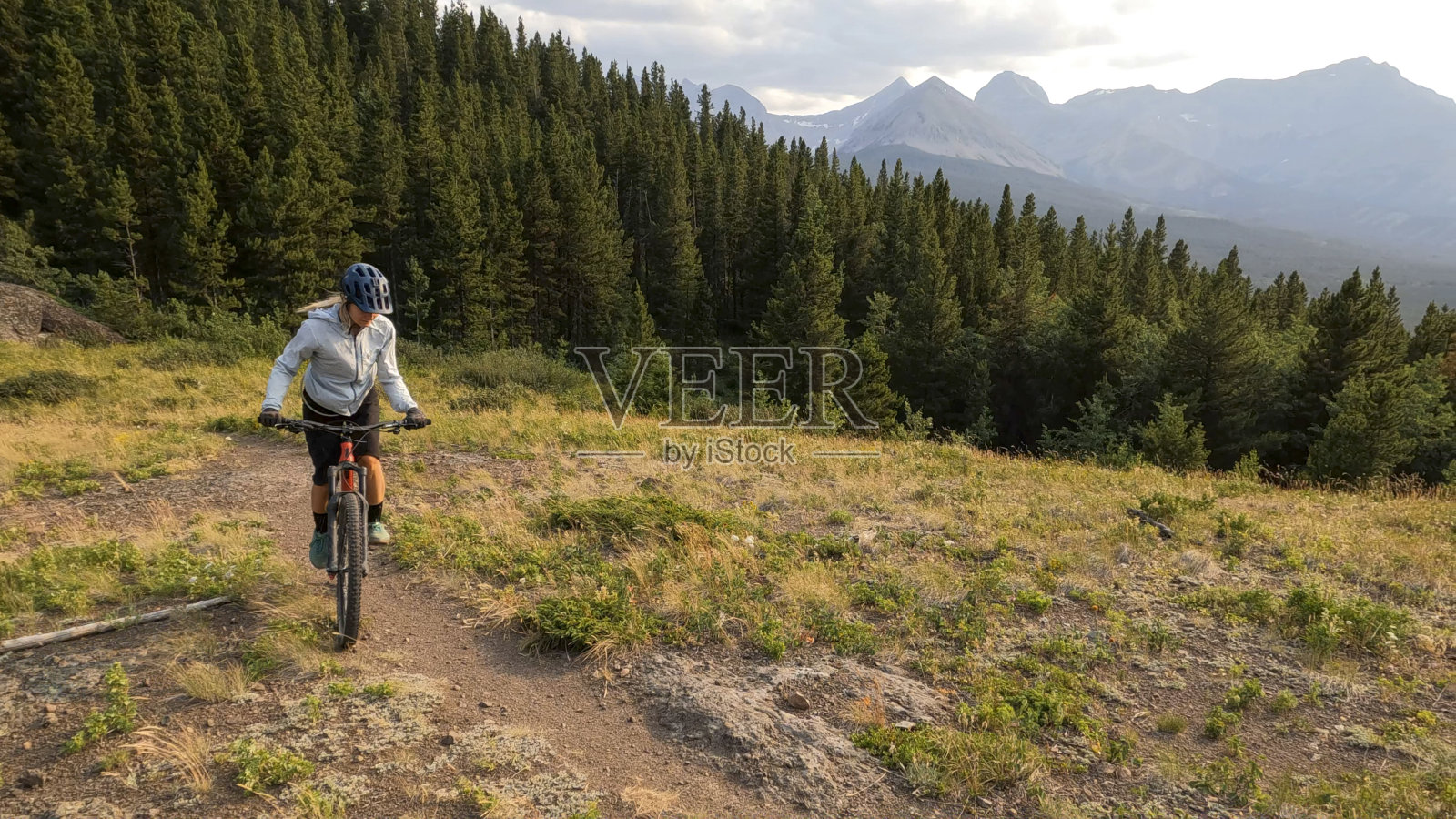 年轻的山地自行车手在森林的小路上照片摄影图片