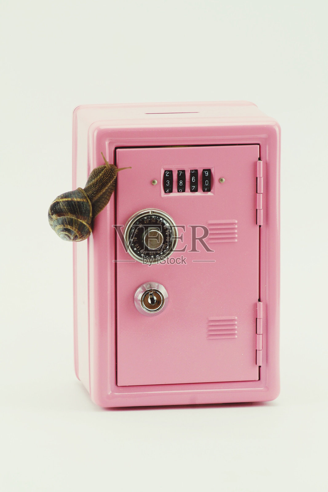 白色背景上拱形门上的蜗牛特写照片摄影图片