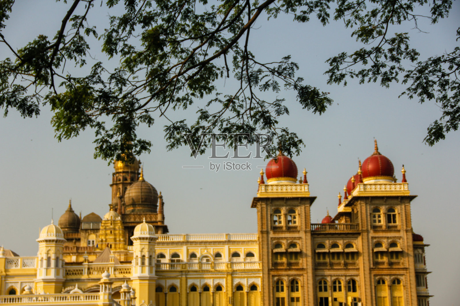迈索尔宫殿，迈索尔，印度2024照片摄影图片