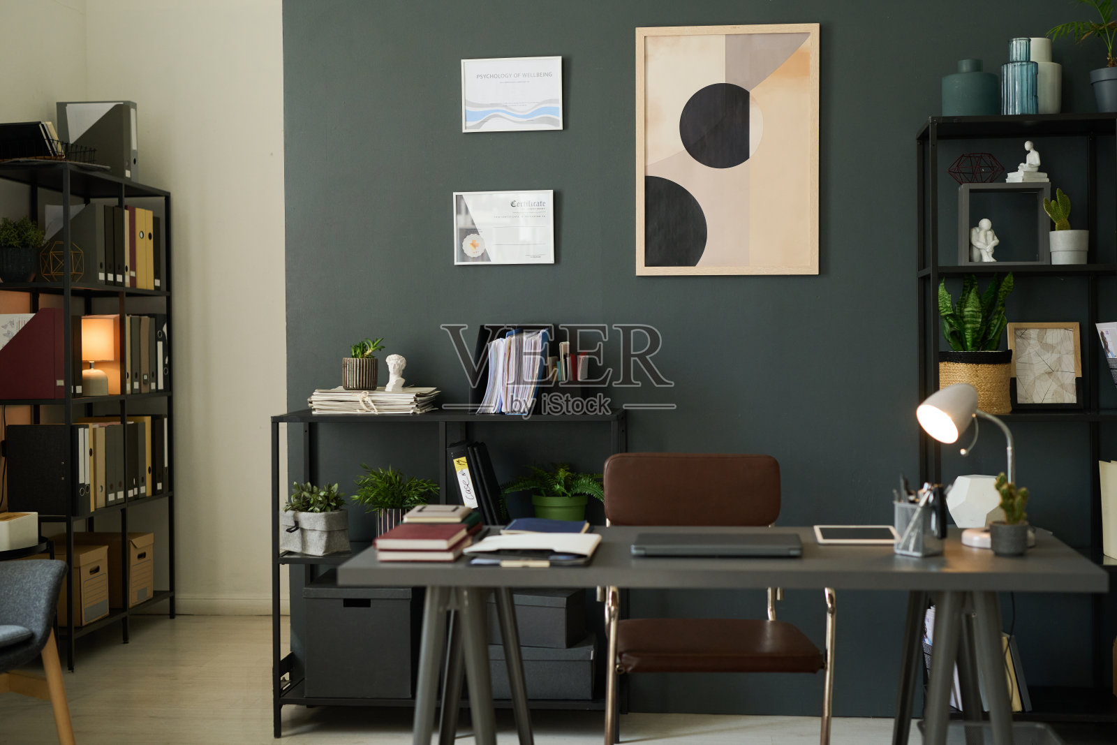 现代办公空间与自然装饰元素照片摄影图片