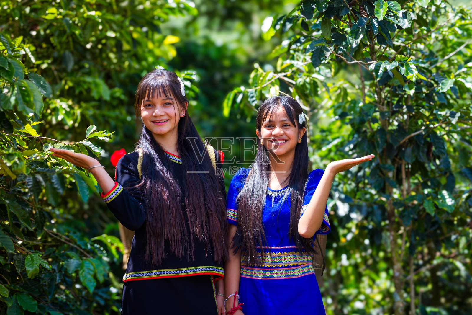 一个少数民族女孩站在越南中部高地的咖啡种植园里的高质量照片照片摄影图片