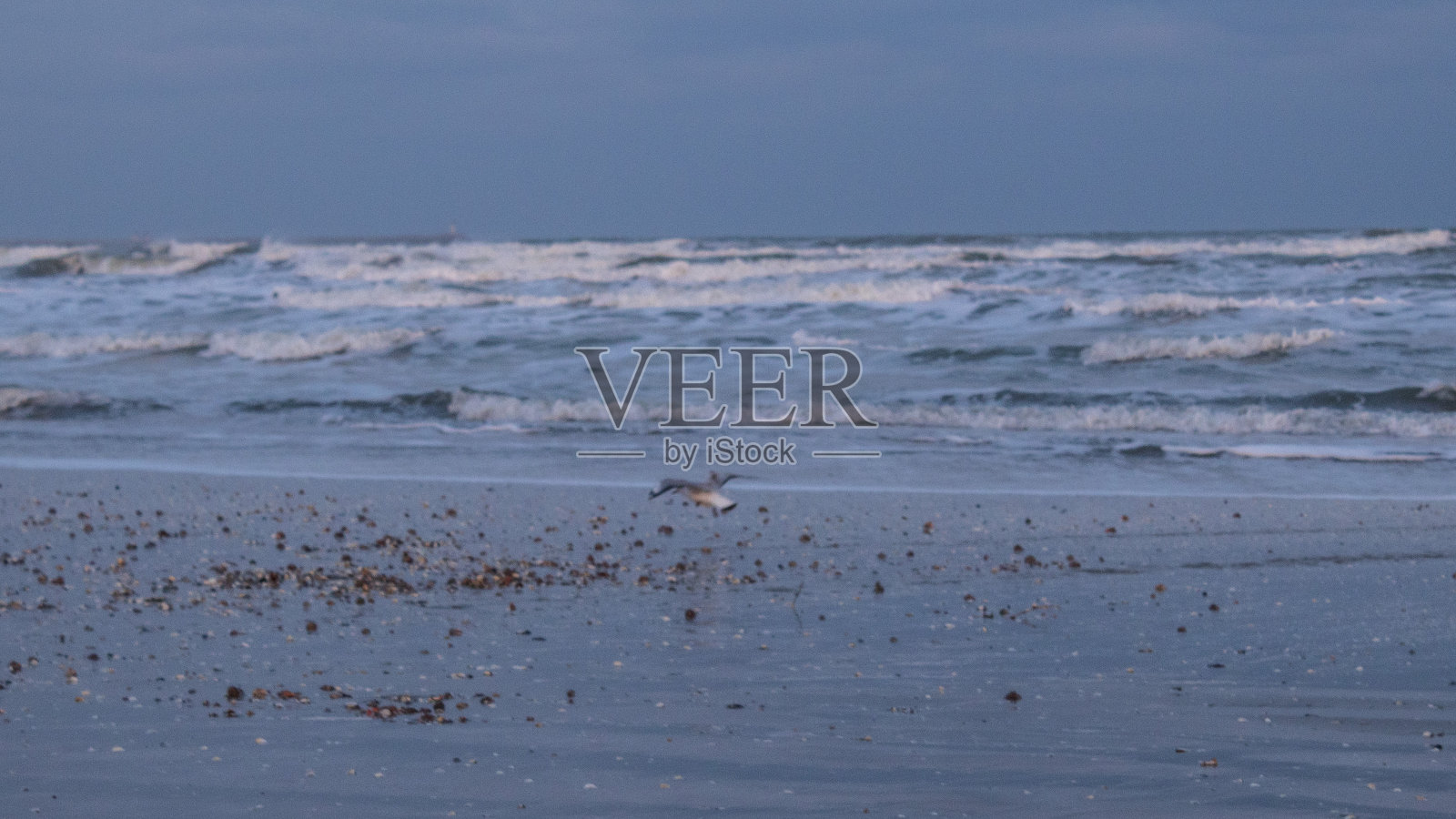 海，海岸-欧洲，罗马尼亚，康斯坦察地区，马马尼亚-萨特照片摄影图片