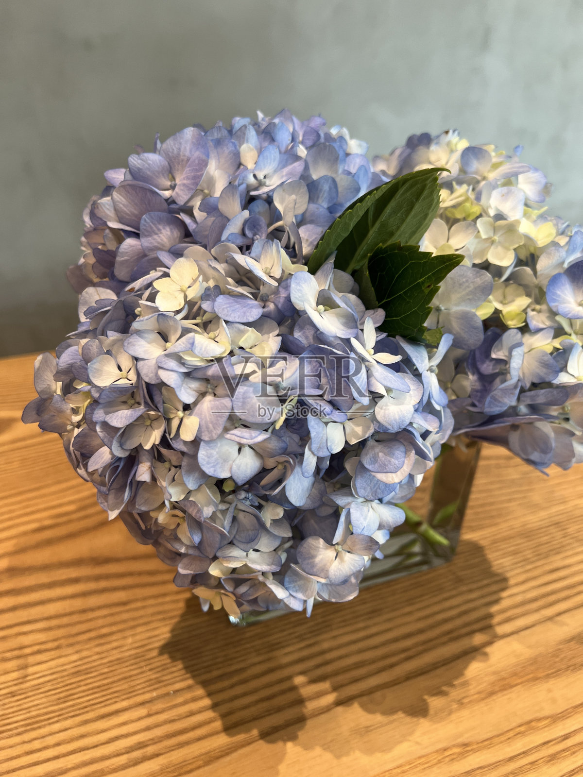 桌上的花照片摄影图片