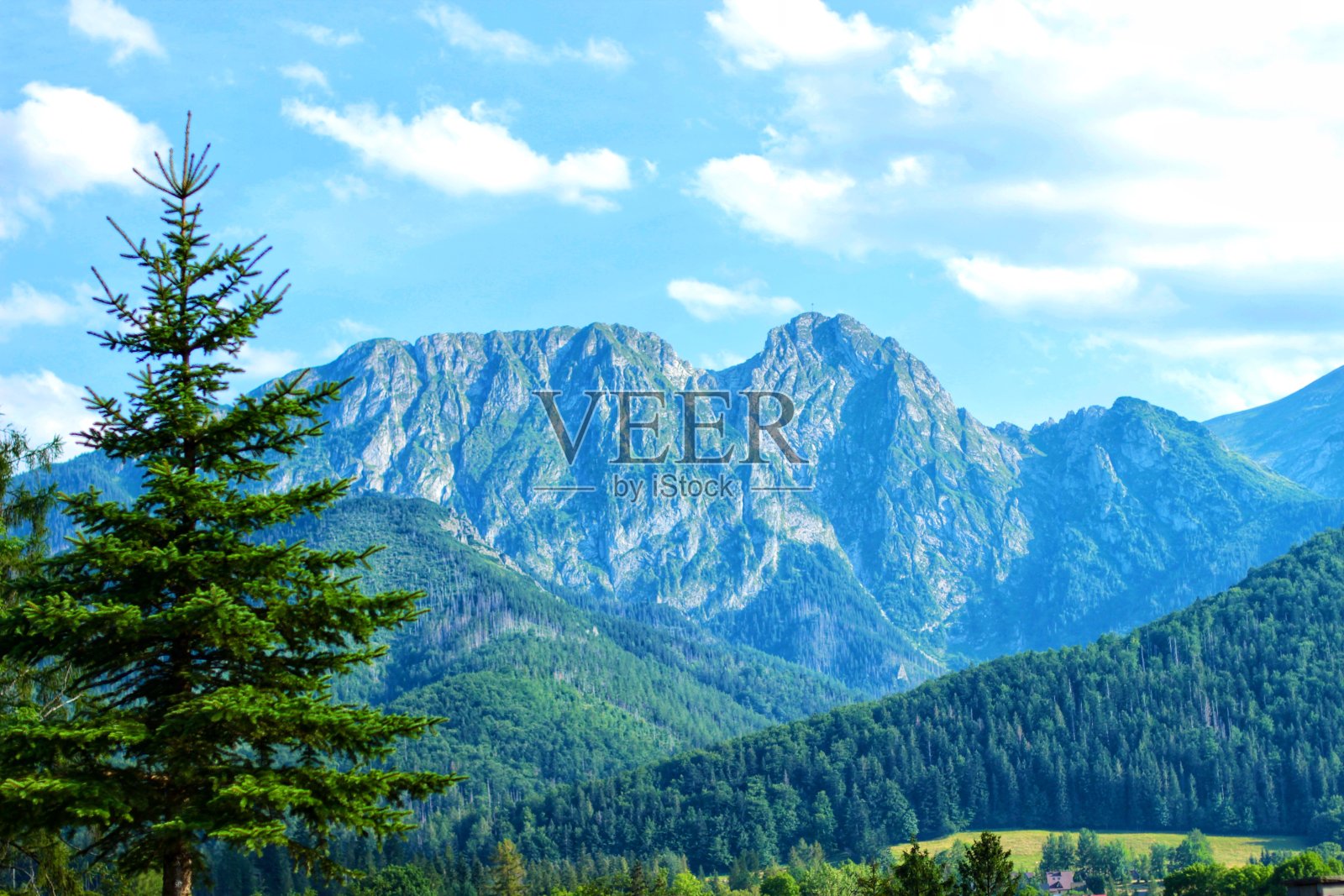美丽的自然背景，蓝色的大风景山和绿色的森林照片摄影图片