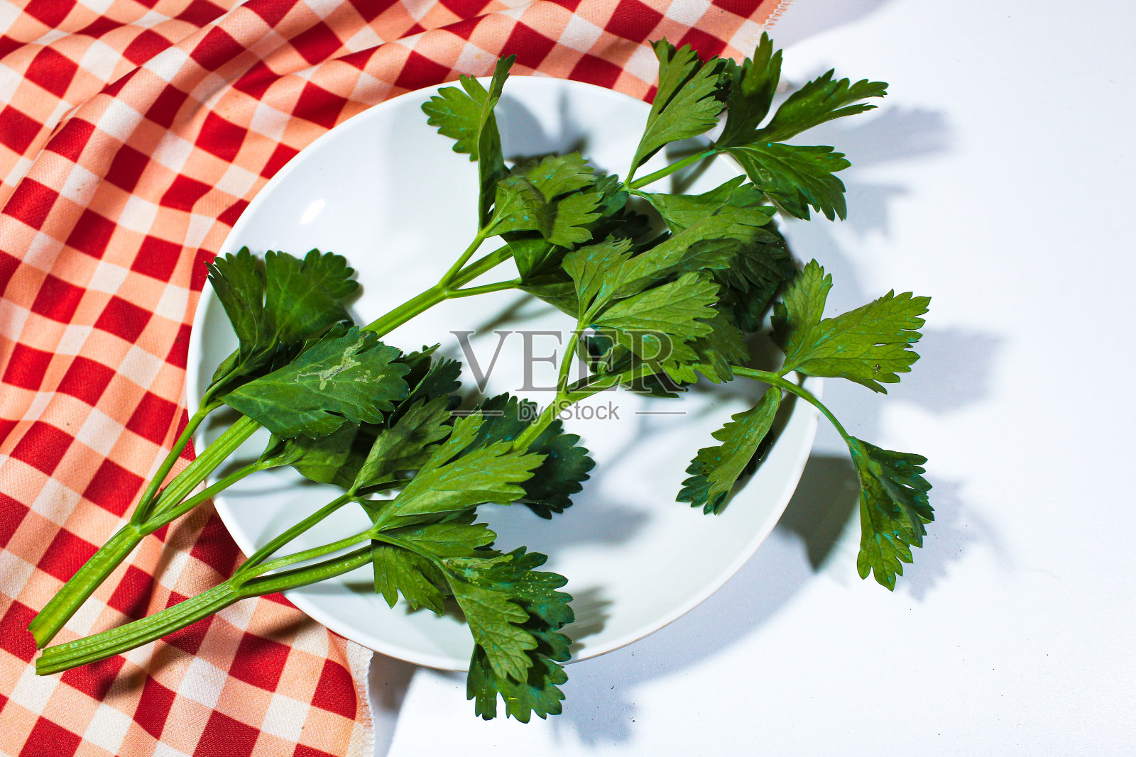 芹菜的叶子照片摄影图片