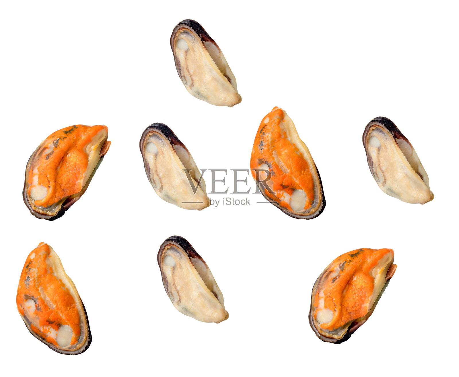 在白色背景上，蒸熟或煮熟的青贻贝肉分散。照片摄影图片