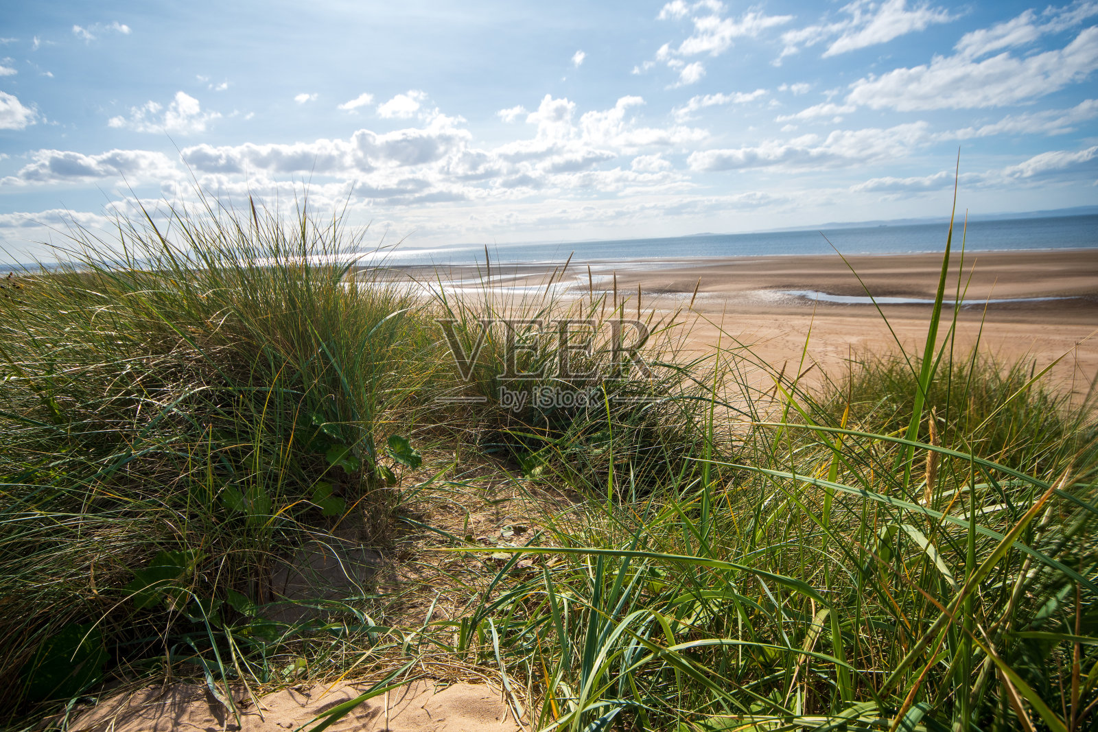 Aberlady湾自然保护区照片摄影图片