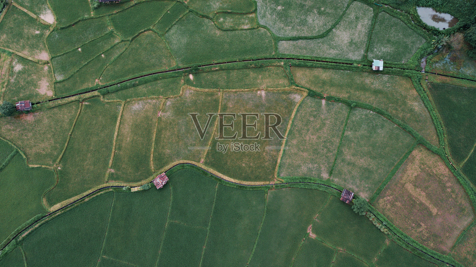 道路鸟瞰图。水稻农场路的俯视图。日落时街道的俯视图。照片摄影图片
