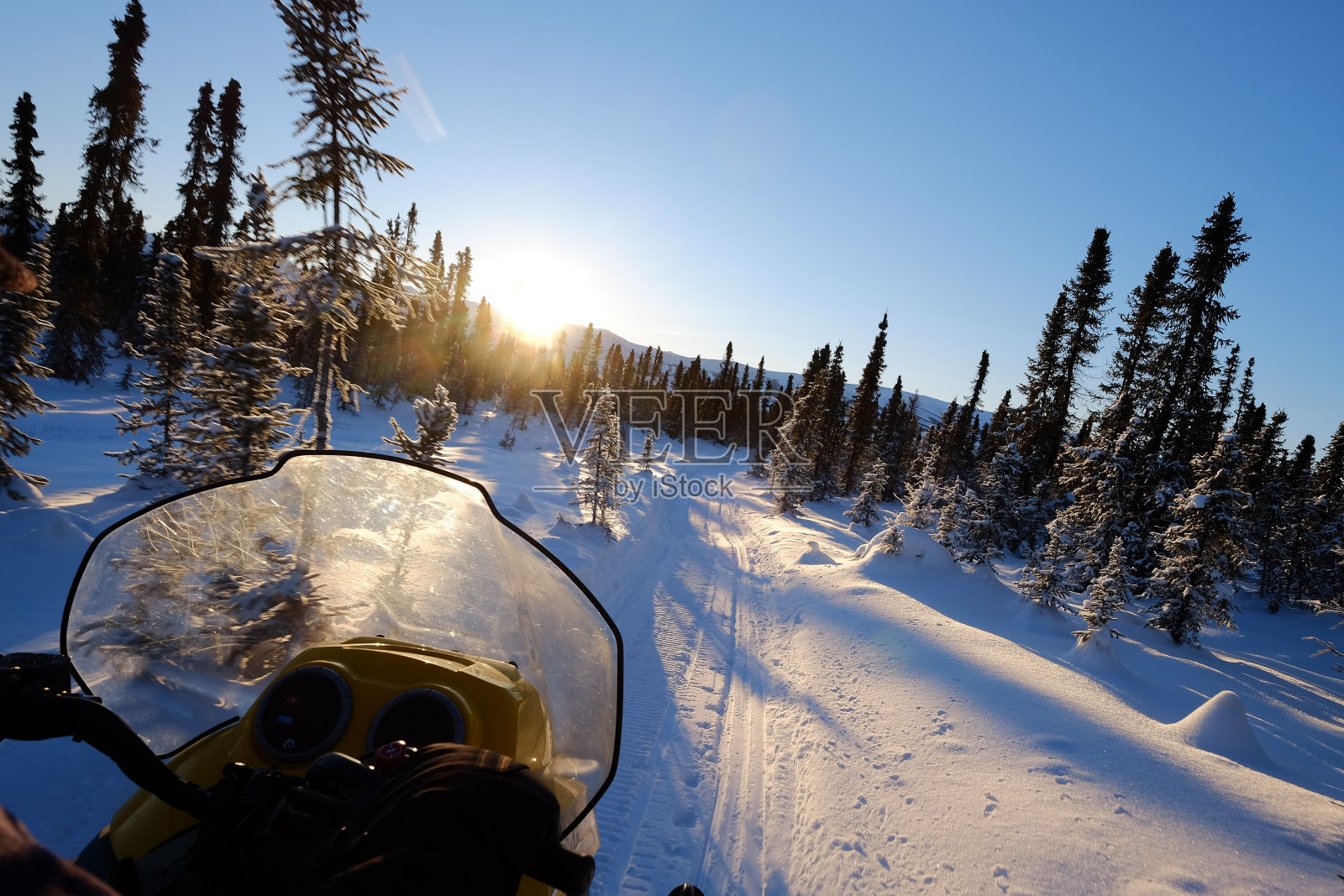 白雪覆盖的田野上的树木对着天空照片摄影图片