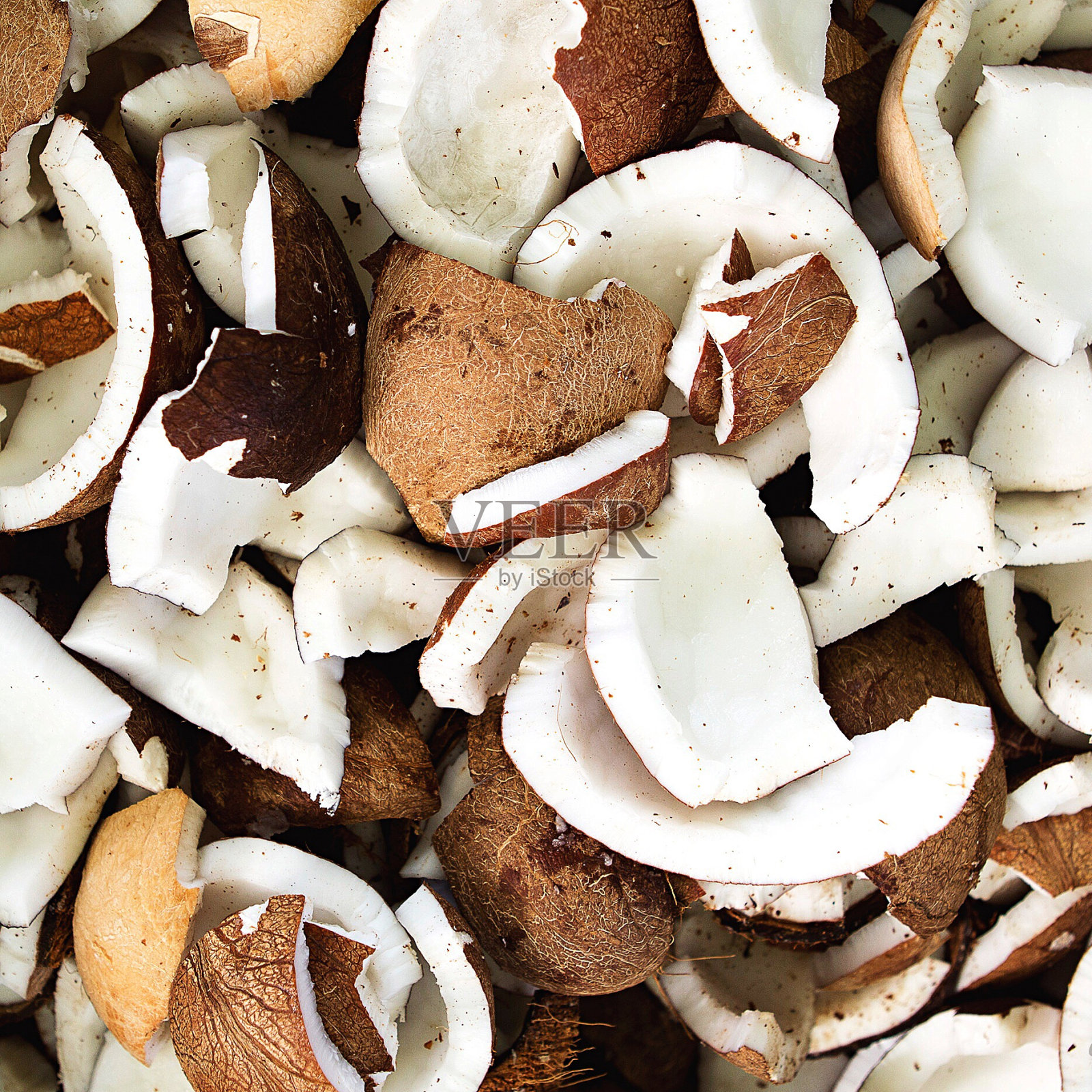 椰子片的全画幅镜头照片摄影图片