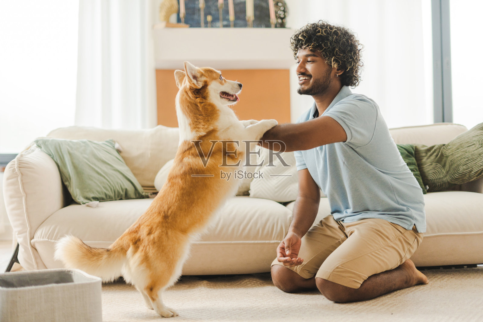 开心的狗在家里用后腿站着和男主人打招呼，玩得很开心照片摄影图片