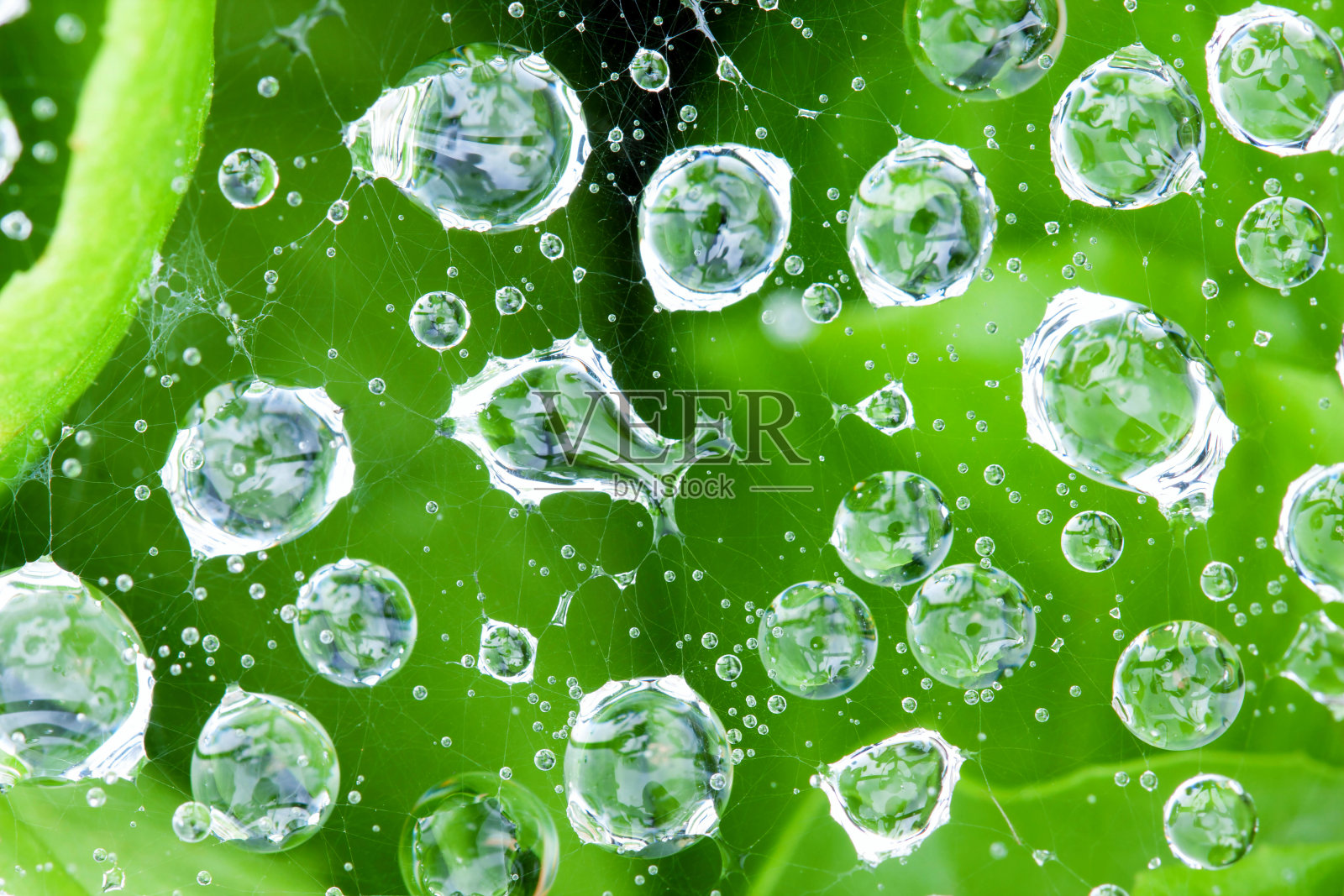 水滴背景照片摄影图片