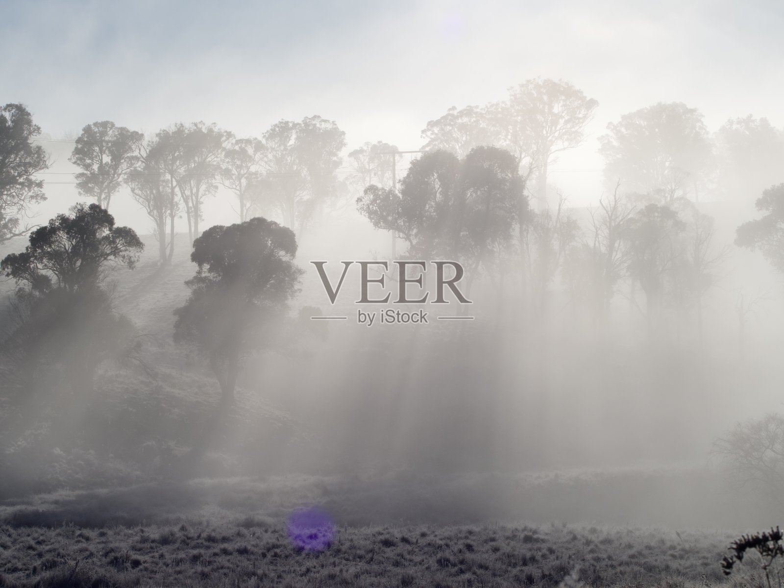 新英格兰薄雾清晨冬季景观照片摄影图片