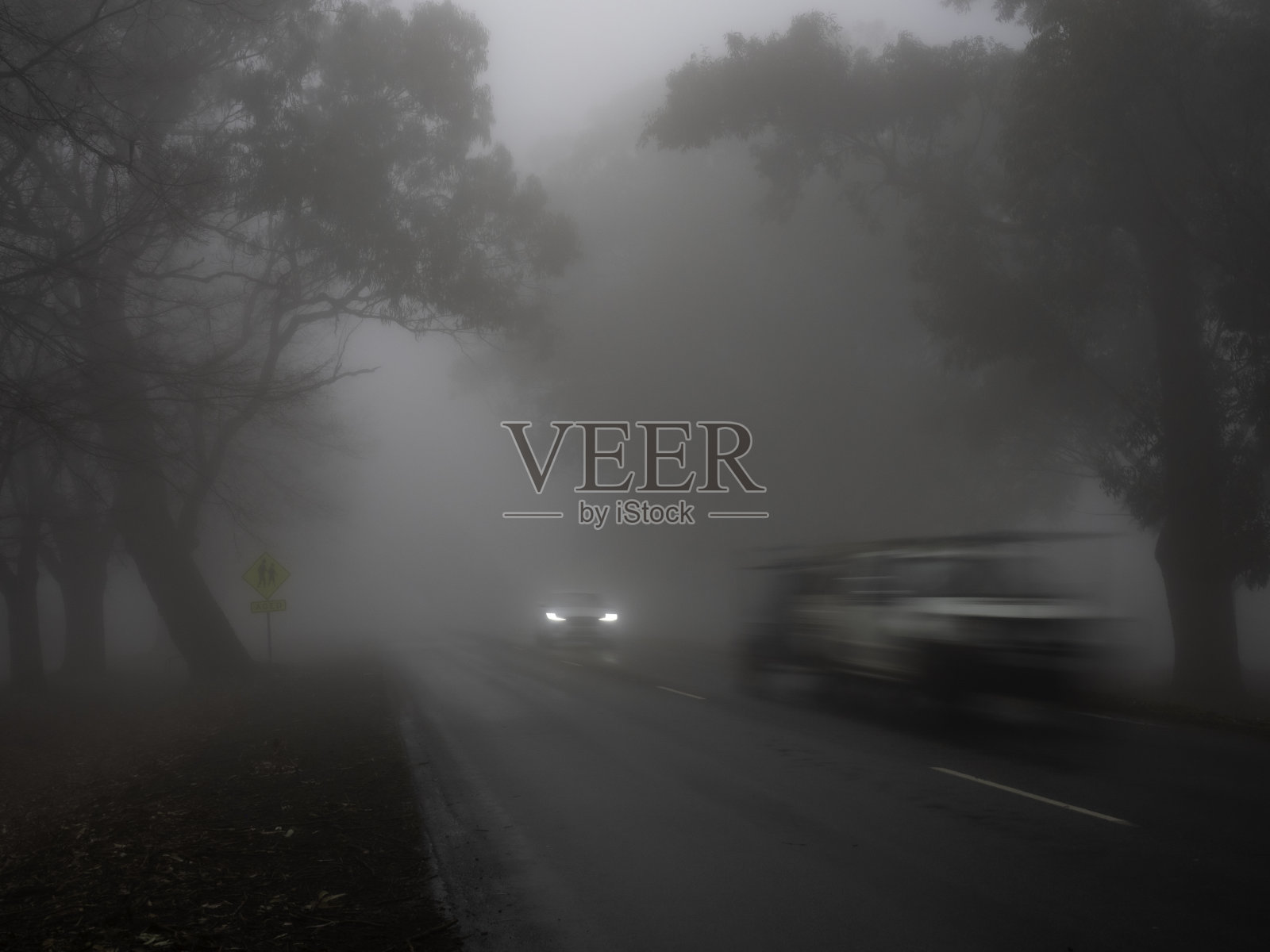 在浓雾中驾驶照片摄影图片